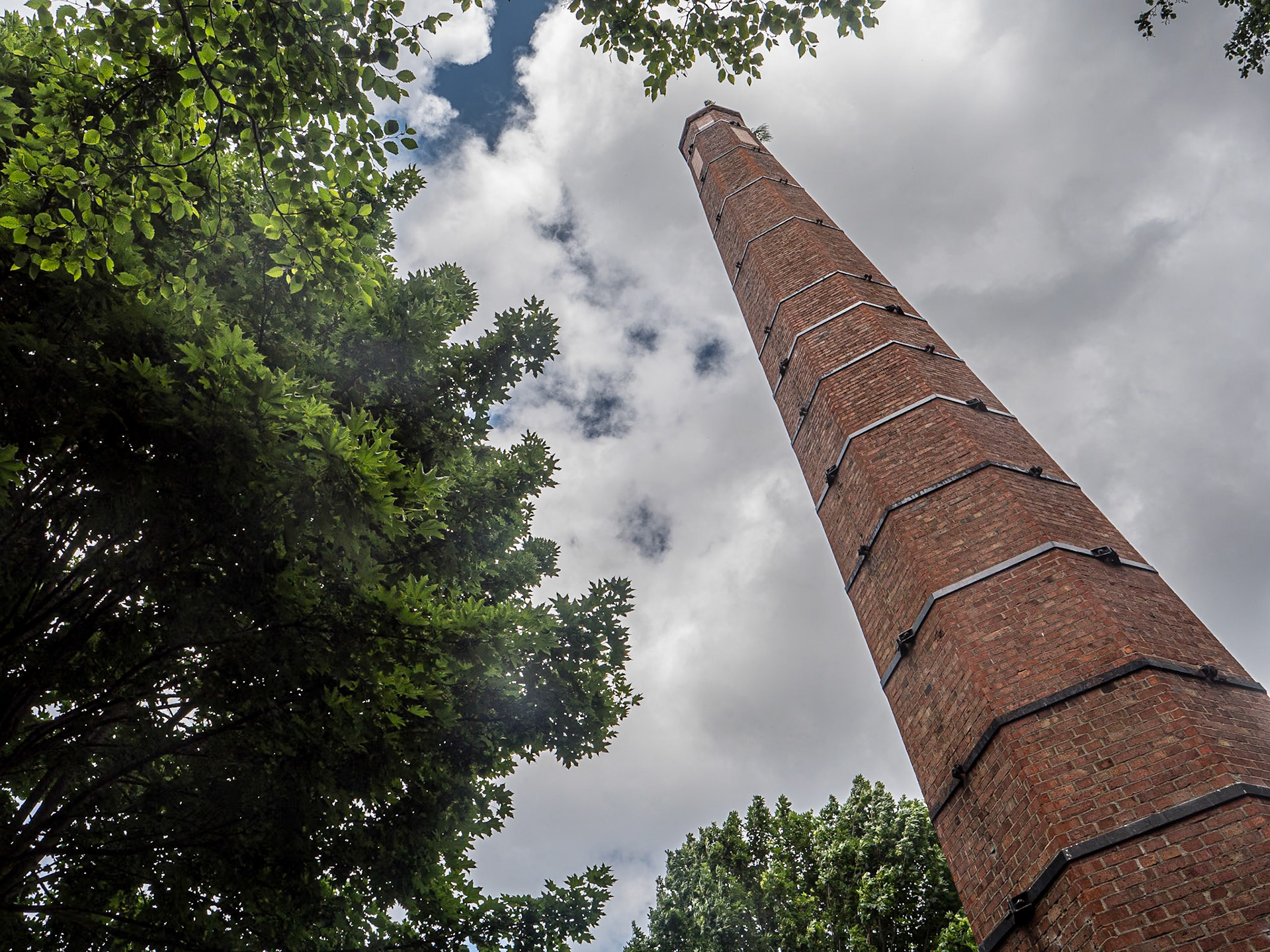 By the Dodder River, Milltown, Co Dublin, 4 Jun 2024