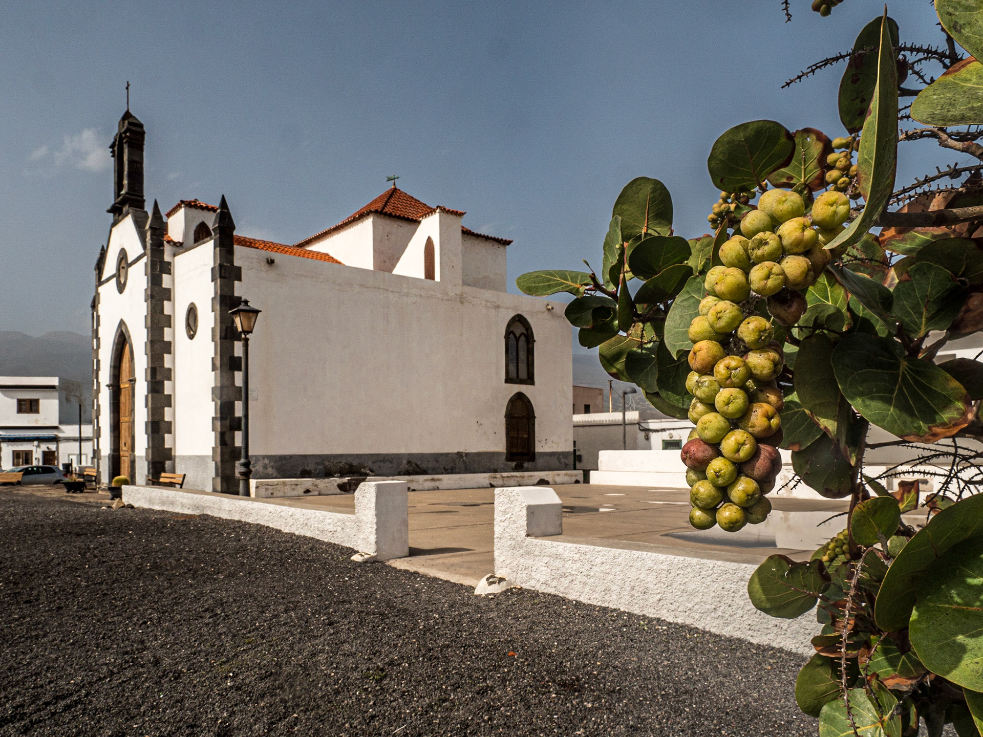 Punta de Abona, Tenerife, 3 Feb 2022
