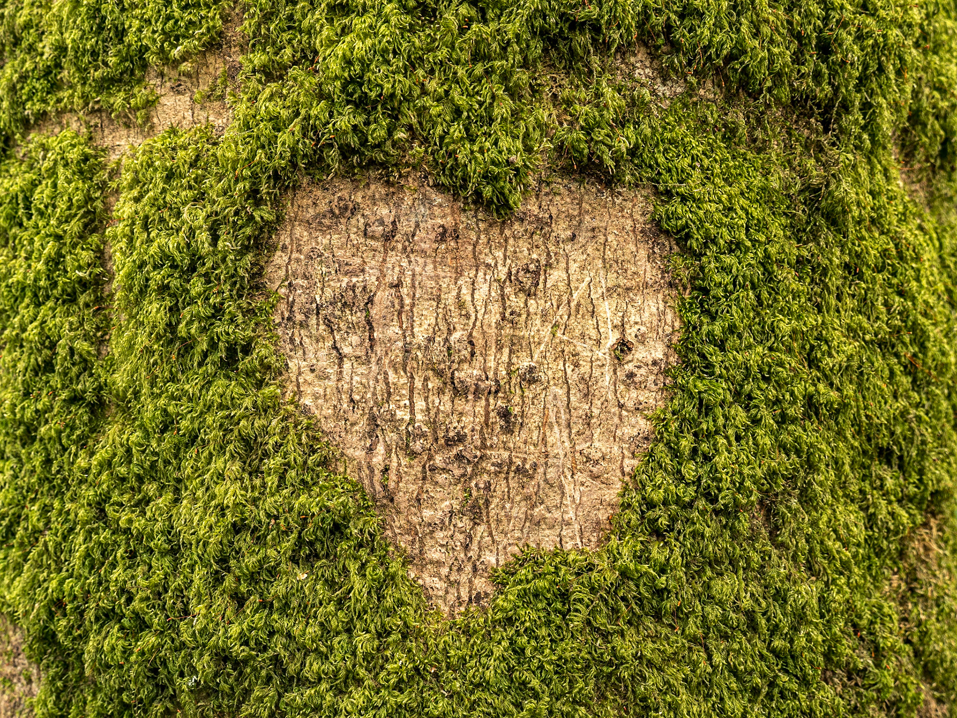 Grounds of Tintern Abbey, Co Wexford, 5 Apr 2022