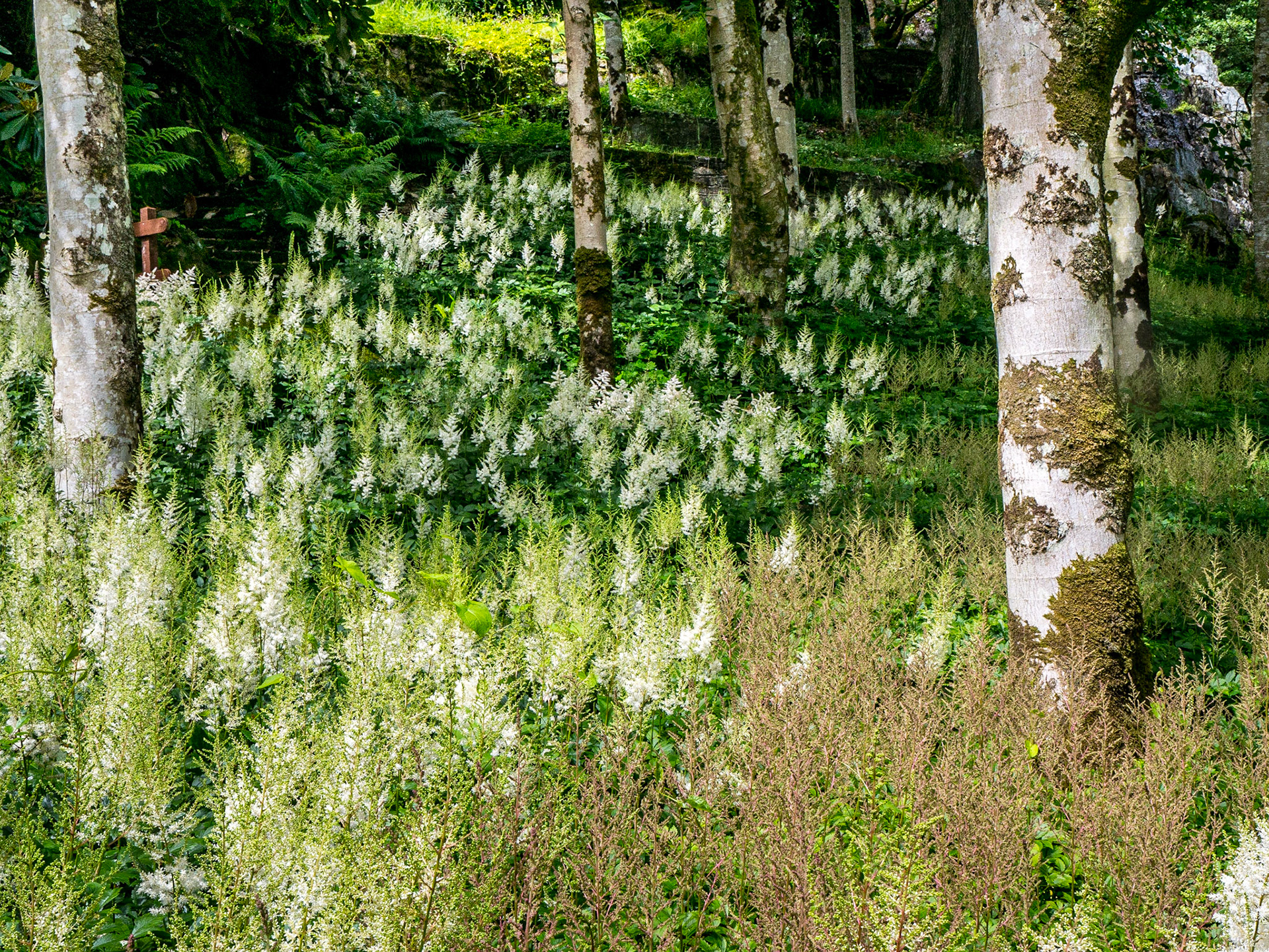 Mount Congreve Gardens, Co Waterford, 3 Jul 2016