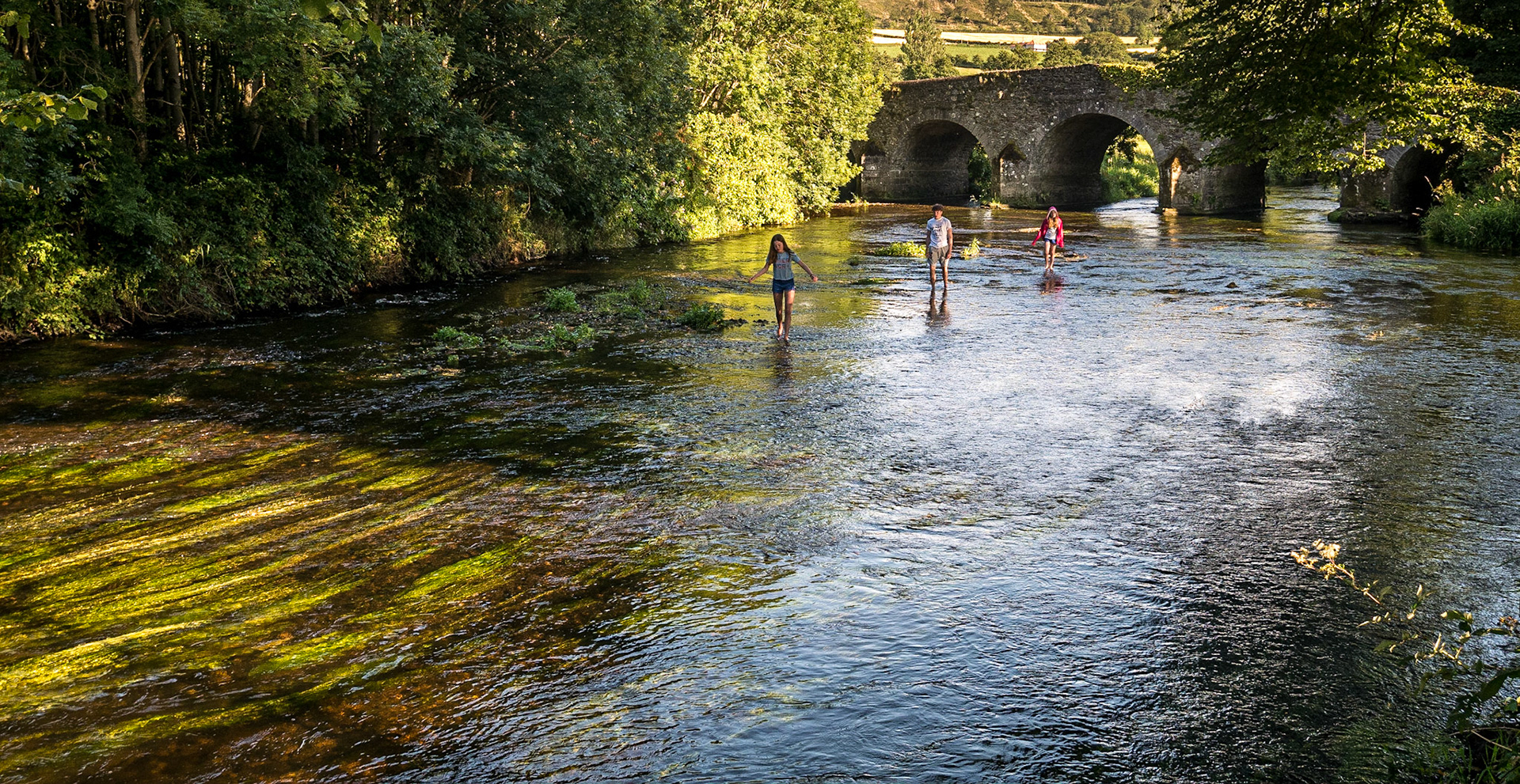 Clonegall, Co Carlow, 12 Aug 2015