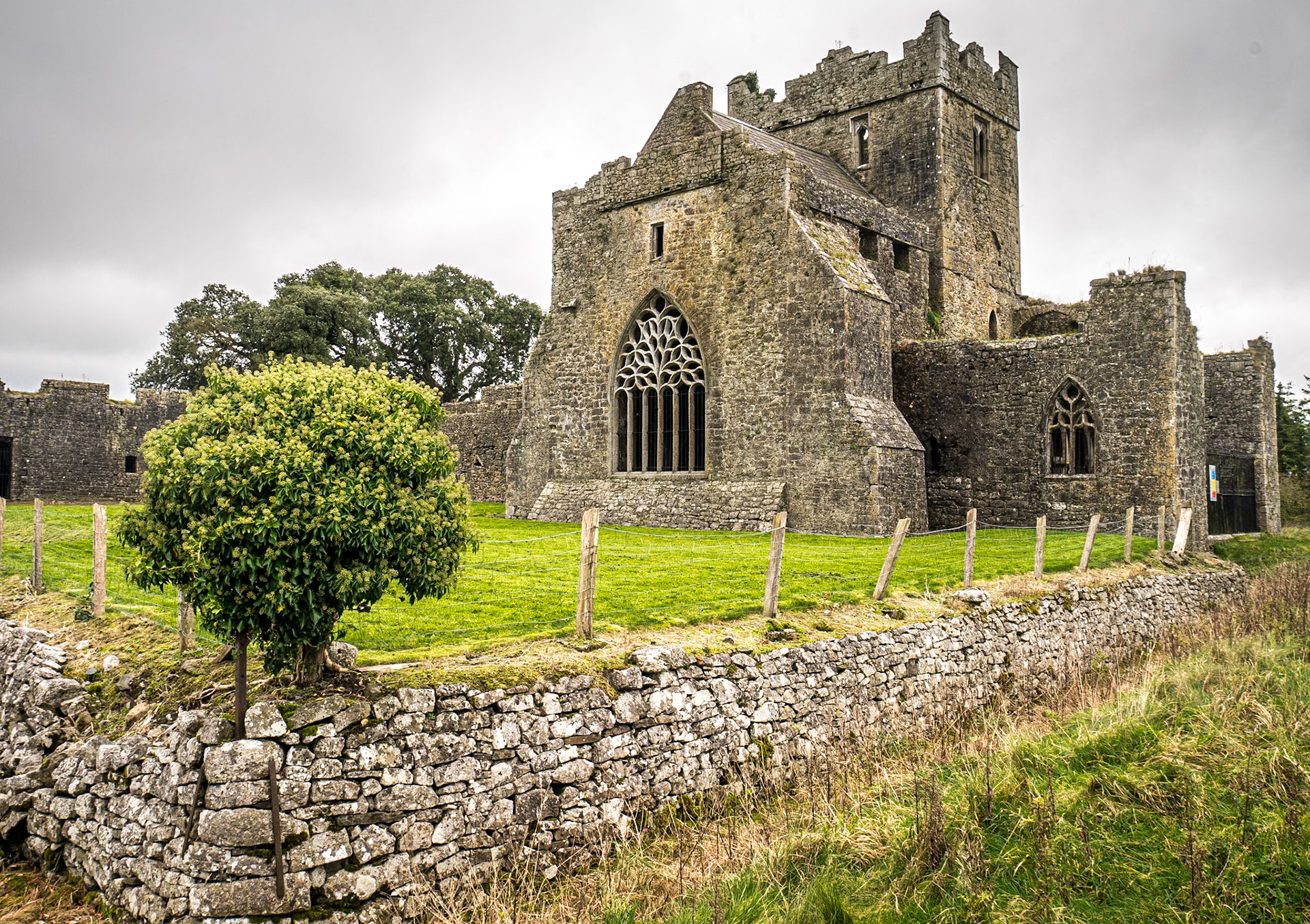 Kilcooley Abbey, Co Tipperary, 26 Oct 2017