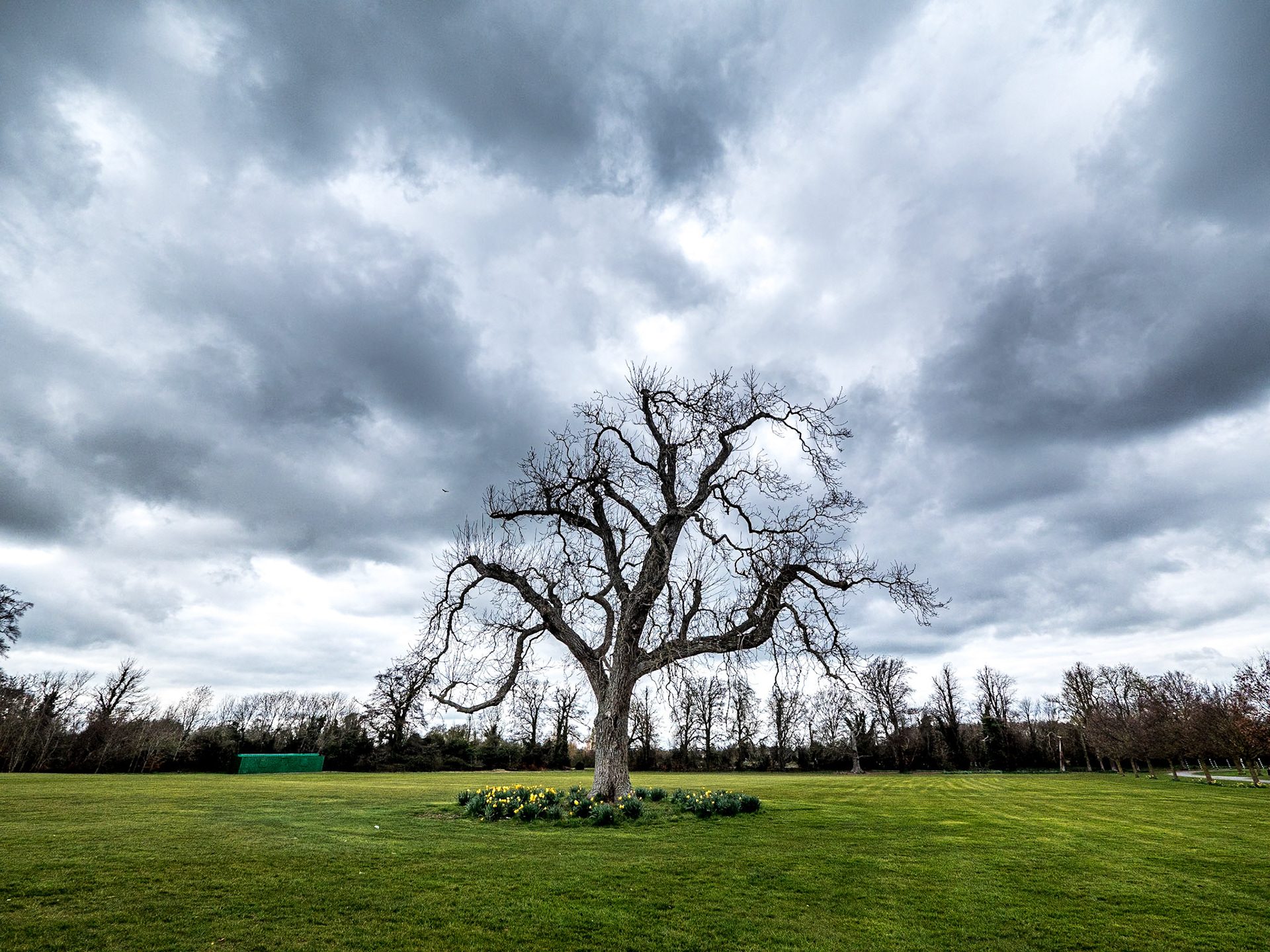 Corkagh Park, Co Dublin, 31 Mar 2020