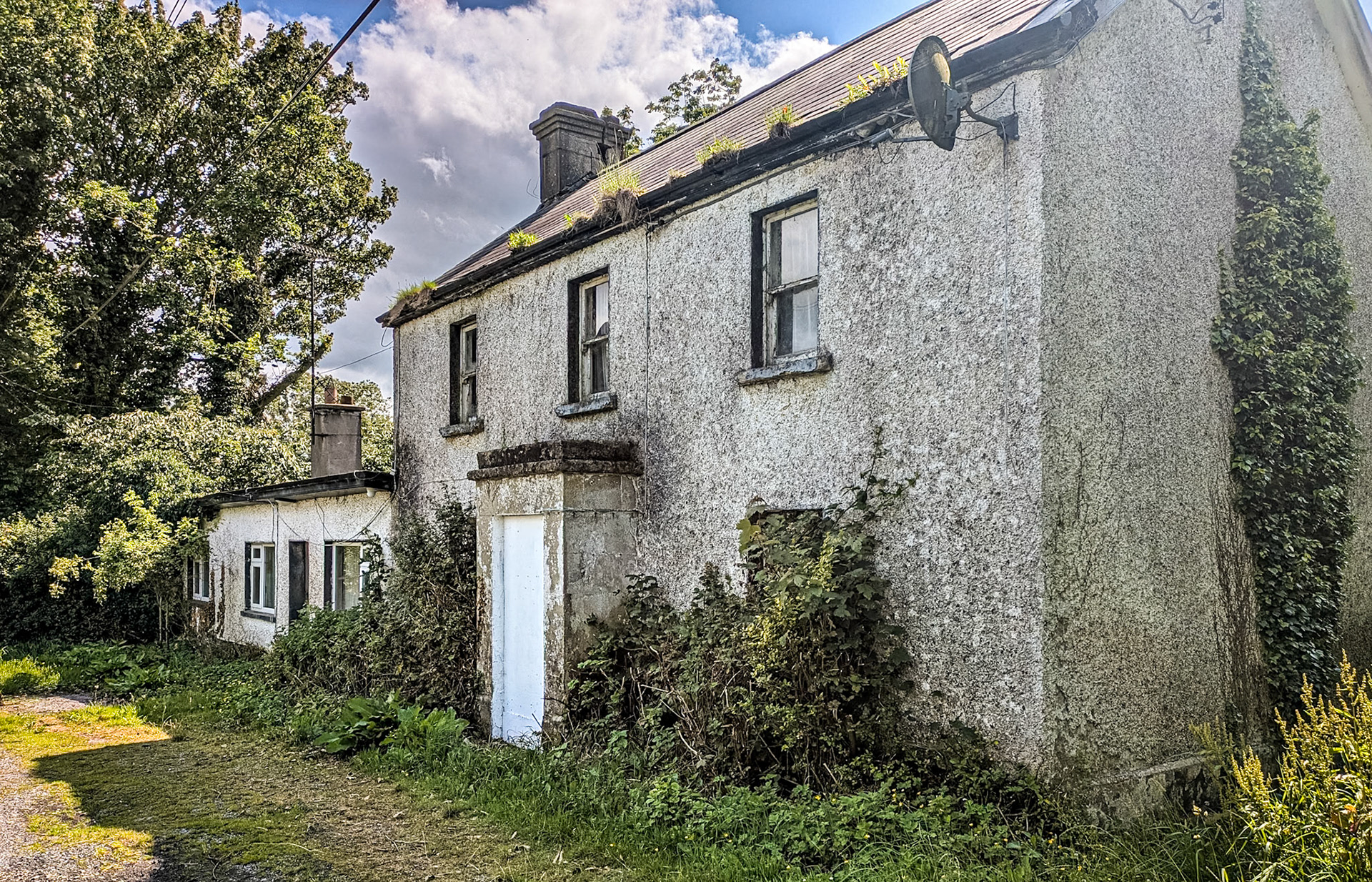 Near Castletown, Co Meath, 26 Jun 2025