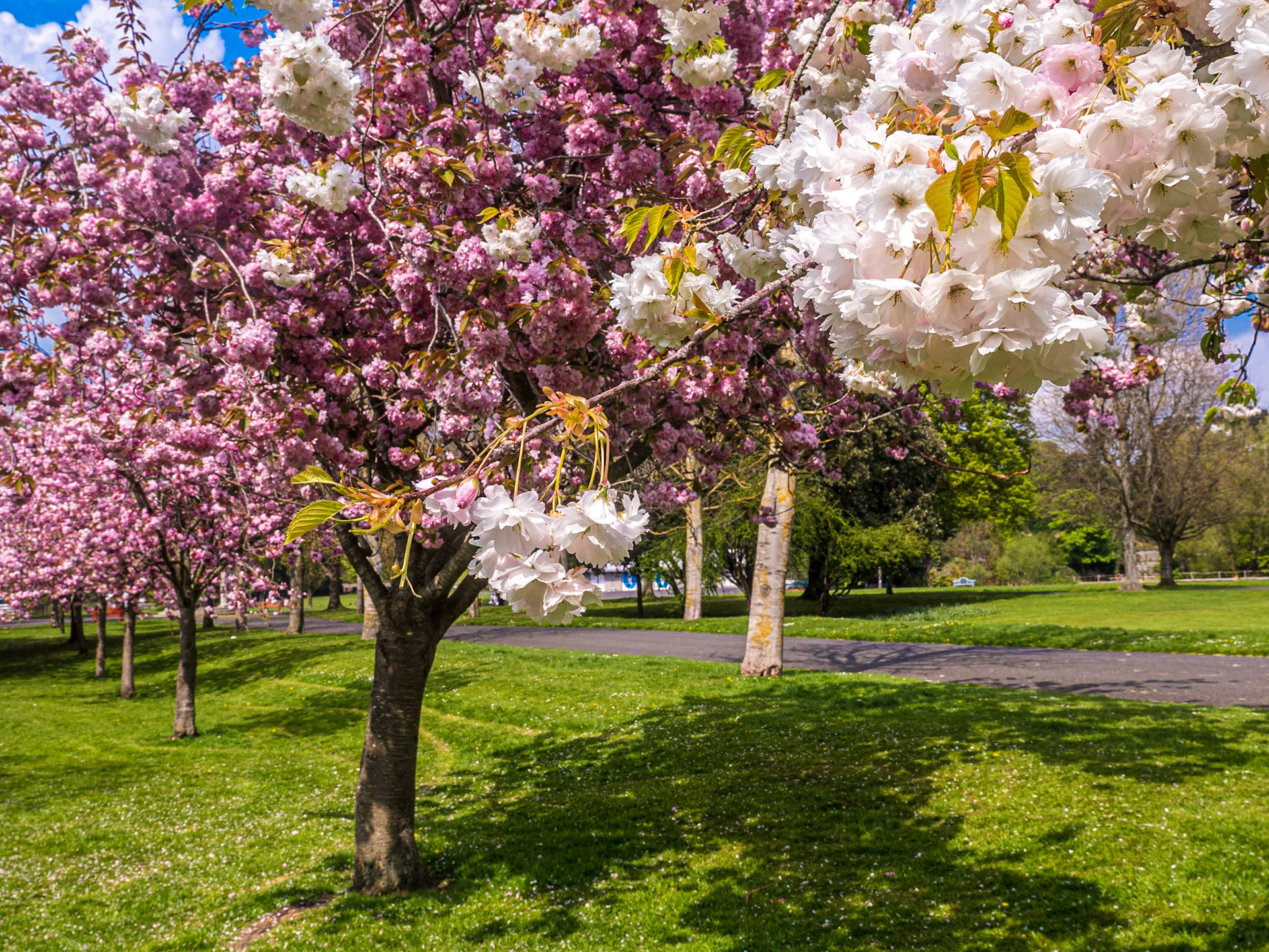 War Memorial Gardens, Dublin, 27 Apr 2022