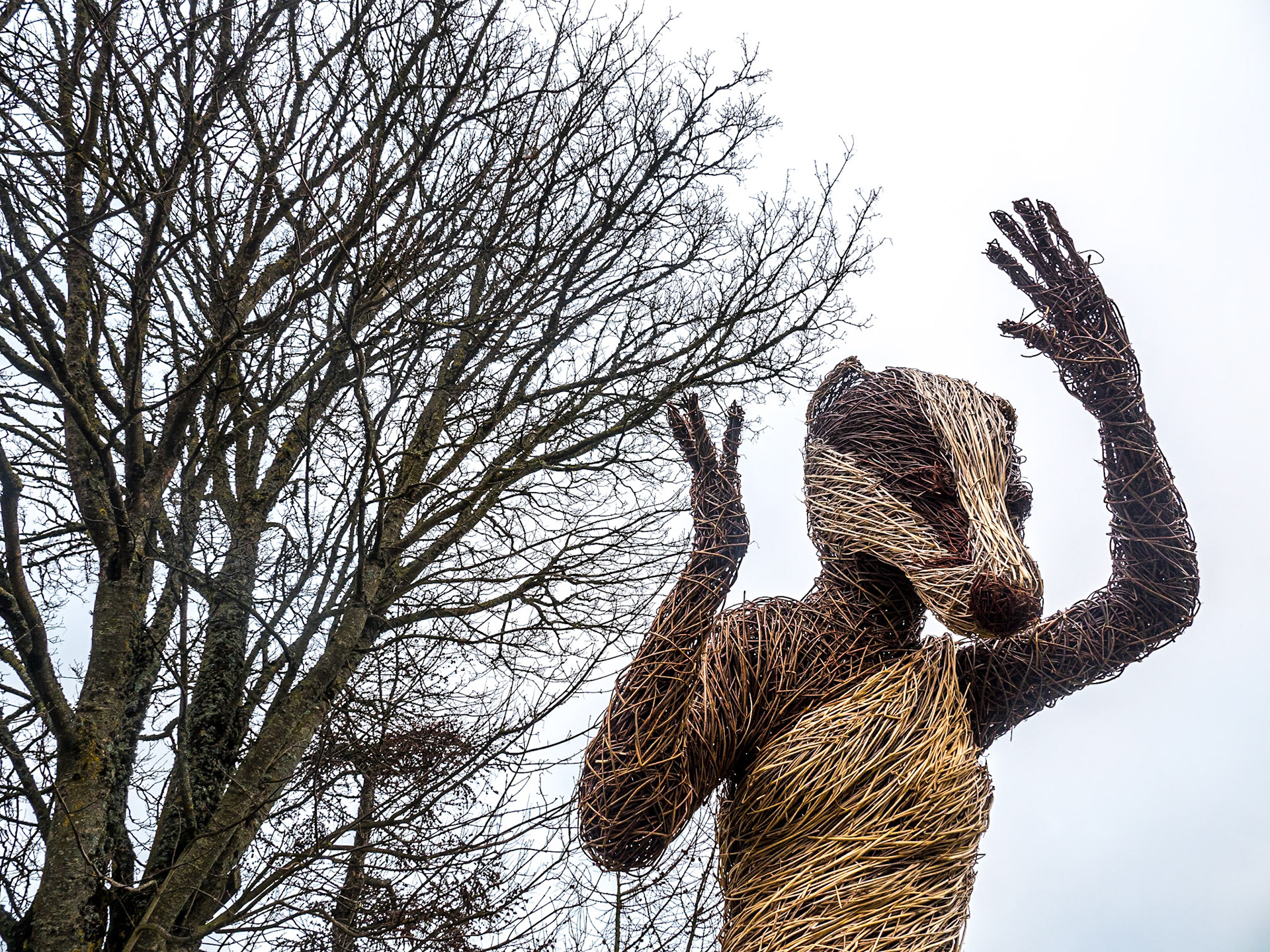 Avon Rí resort, Blessington, Co Wicklow, 1 Jan 2020