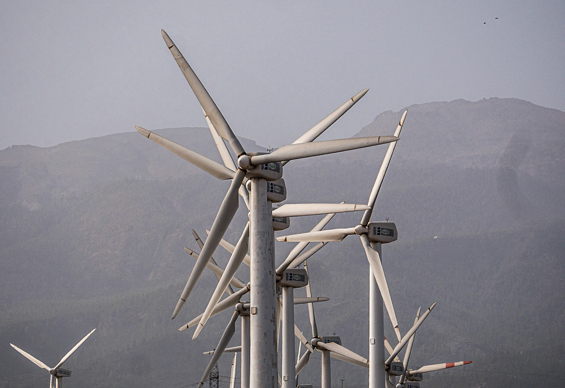 Near Punta de Abona, Tenerife, 3 Feb 2022