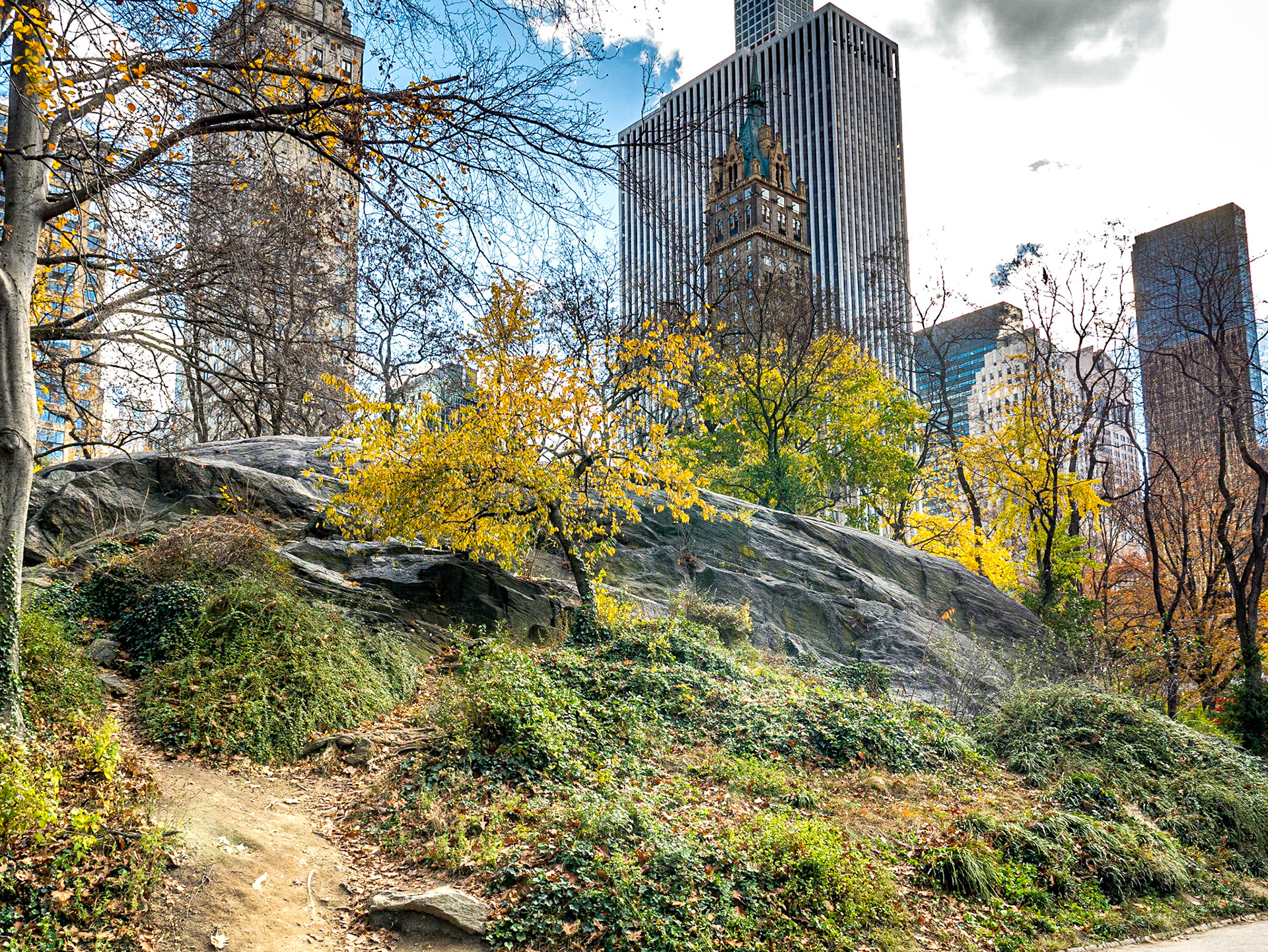 Central Park, Manhattan, 23 Nov 2015