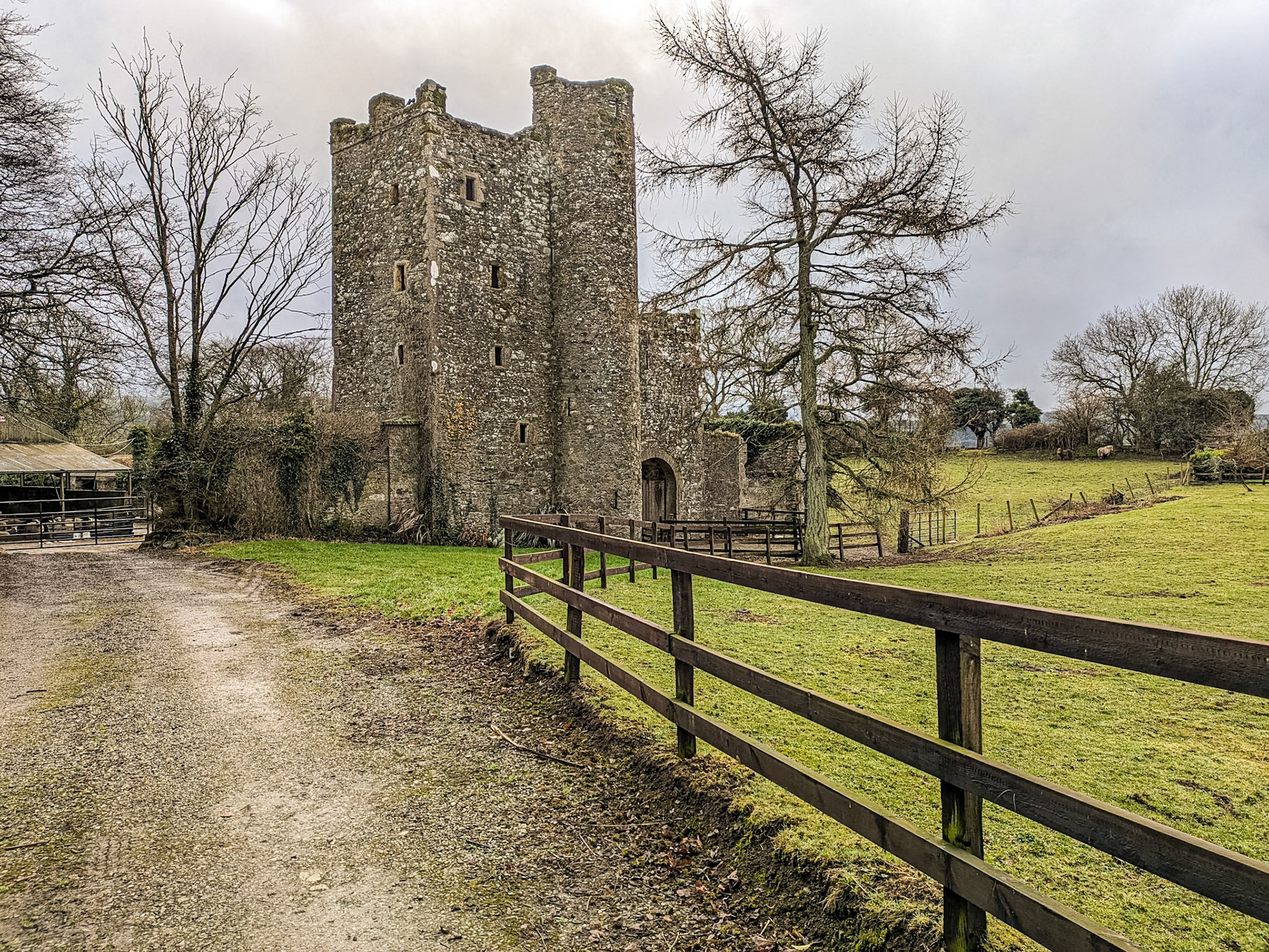 Kilteel Castle, Co Kildare, 22 Jan 2025