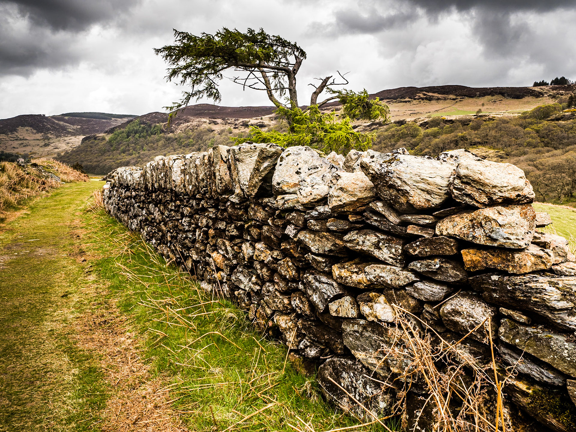 Walking from the Pier Gates to Lough Dan, 4 May 2015