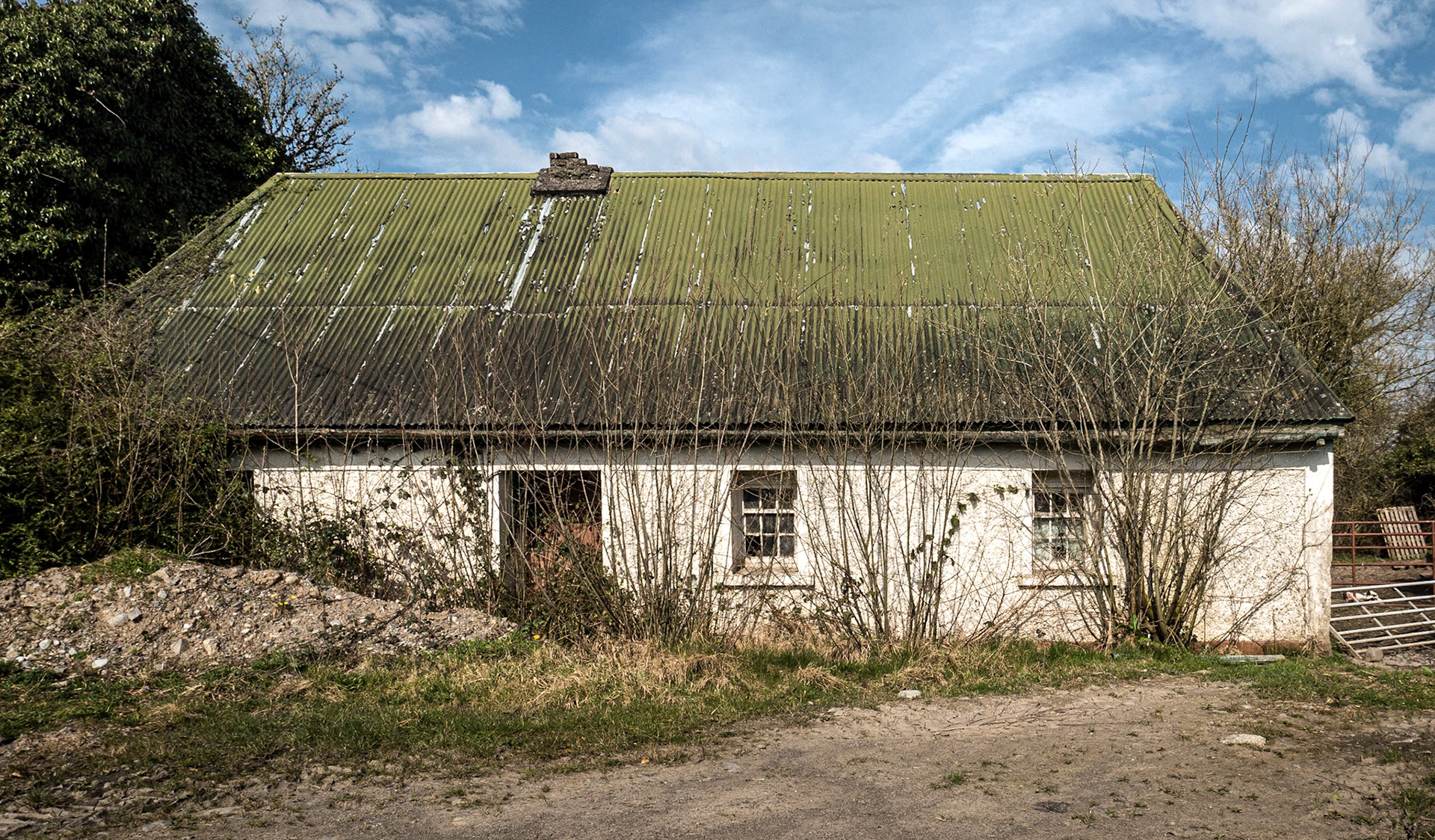 Near Allen, Co Kildare, 25 Mar 2022
