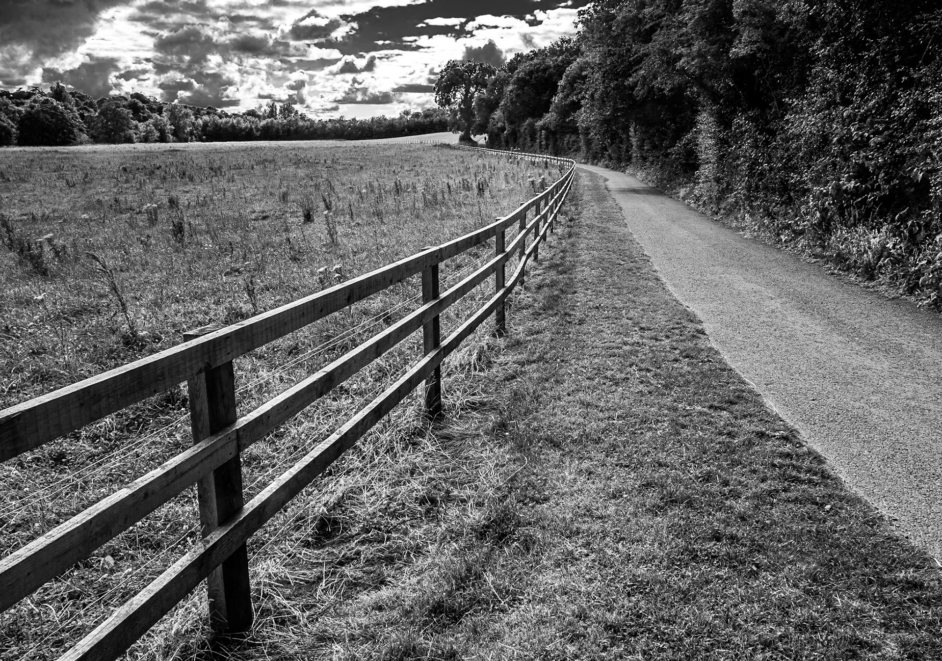 St Catherine's Park, Lucan, Dublin, 22 Jul 2015