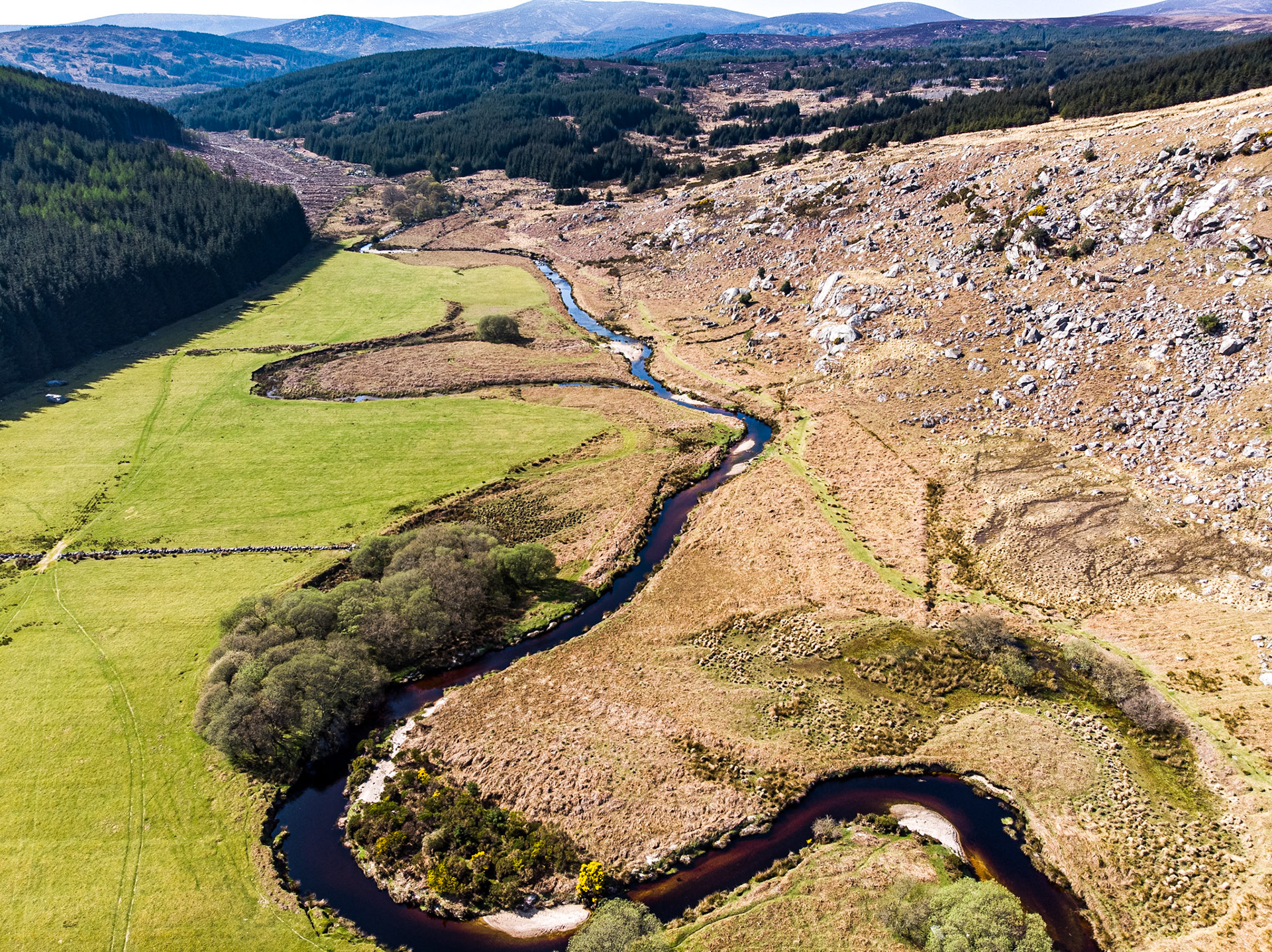 Inchavore River, Co Wicklow, 21 Apr 2019