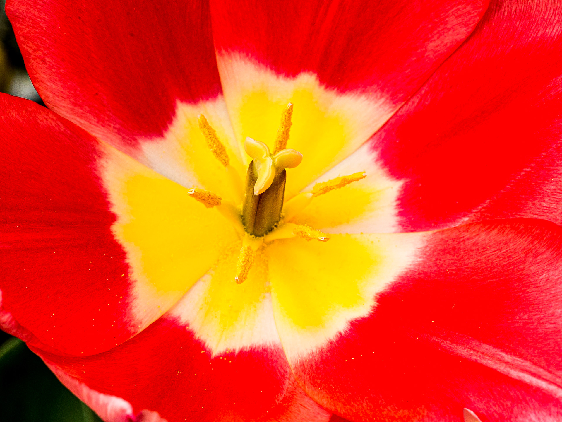 Botanic Gardens, Dublin, 23 Mar 2016
