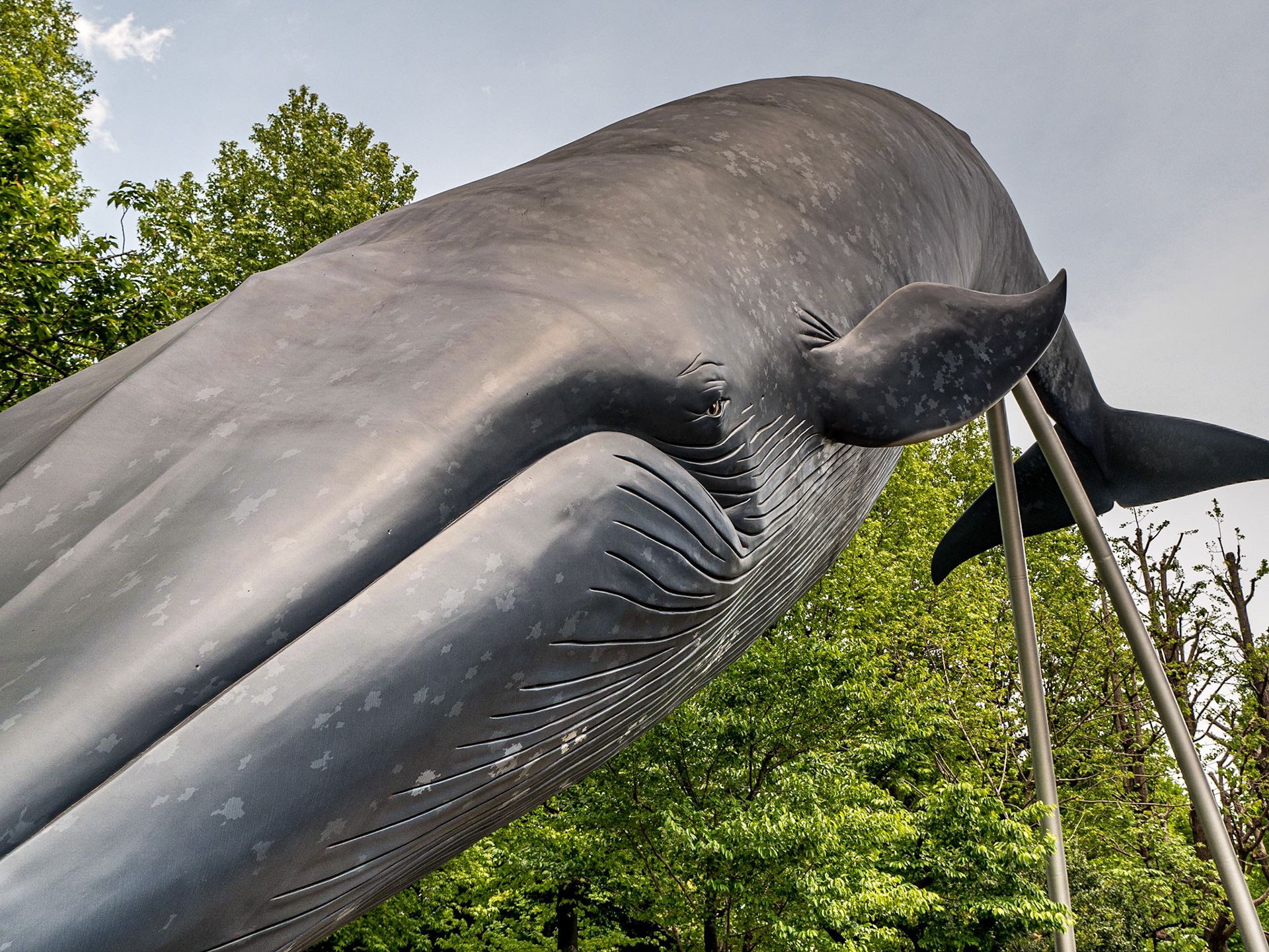 Sculpture of blue whale, Ueno Park, Tokyo, 30 Apr 2016