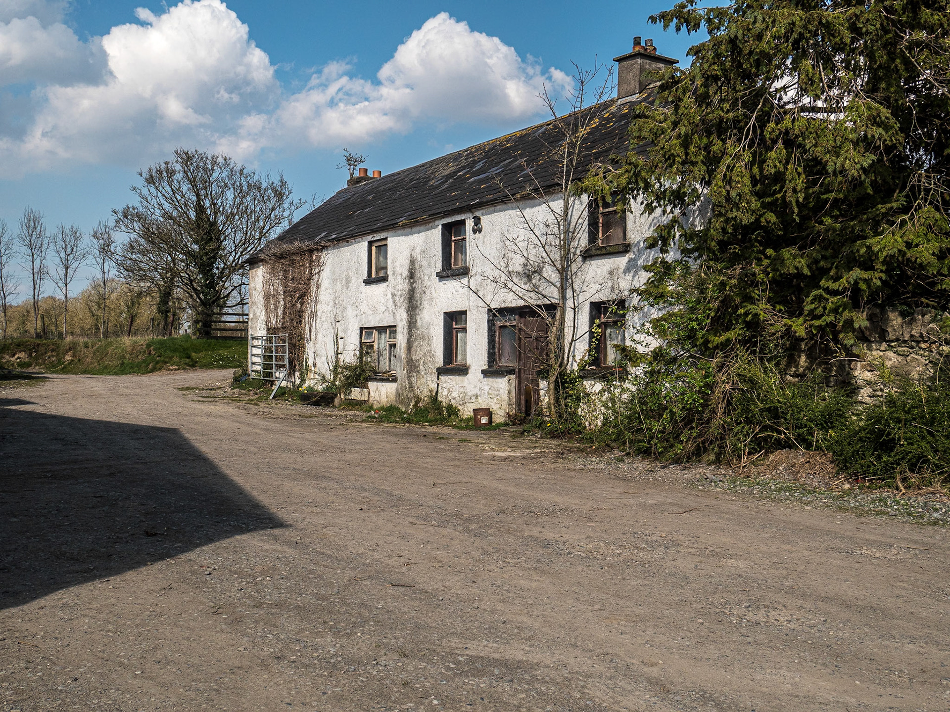 West of Rathangan, Co Offaly, 25 Mar 2022