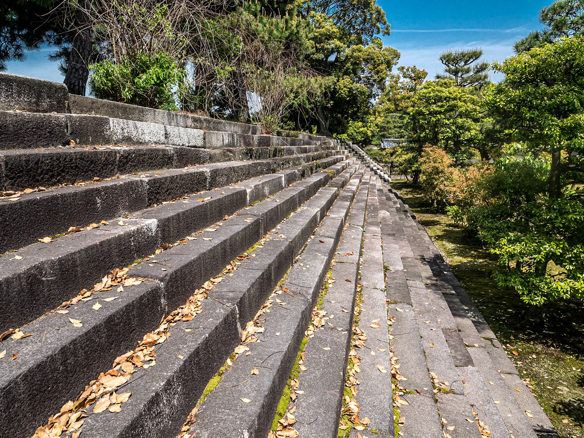 Nijo Castle, Kyoto, 24 Apr 2016