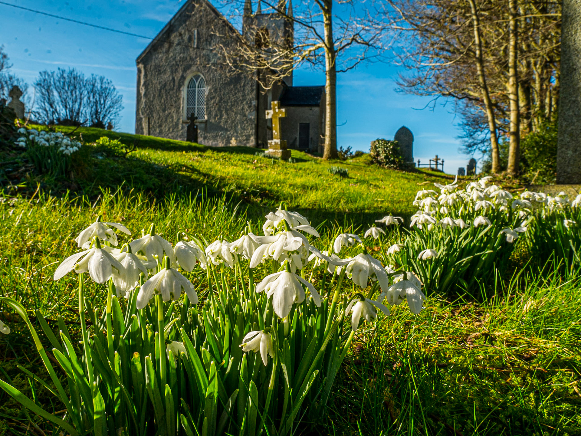 St Colmcille's Church, Rathmore, Co Kildare, 8 Feb 2017