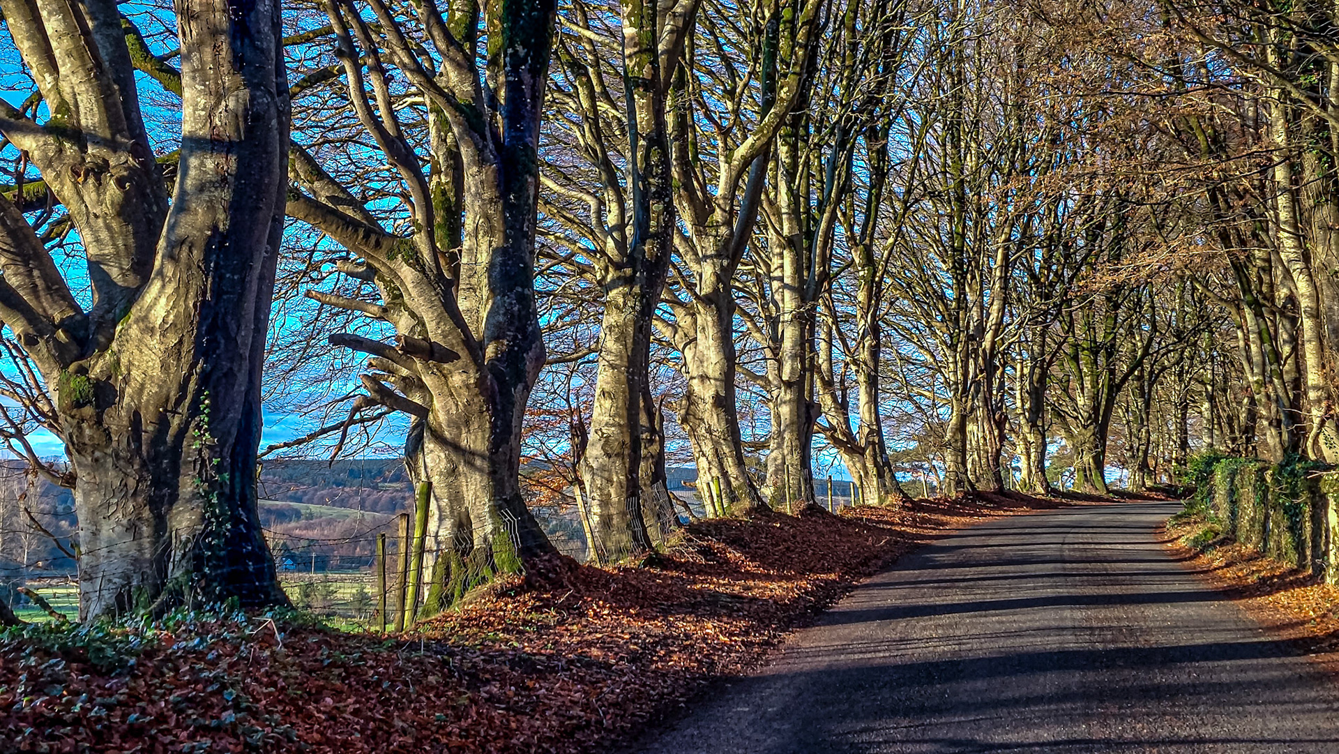 Manor Kilbride, Co Wicklow, 7 Dec 2022