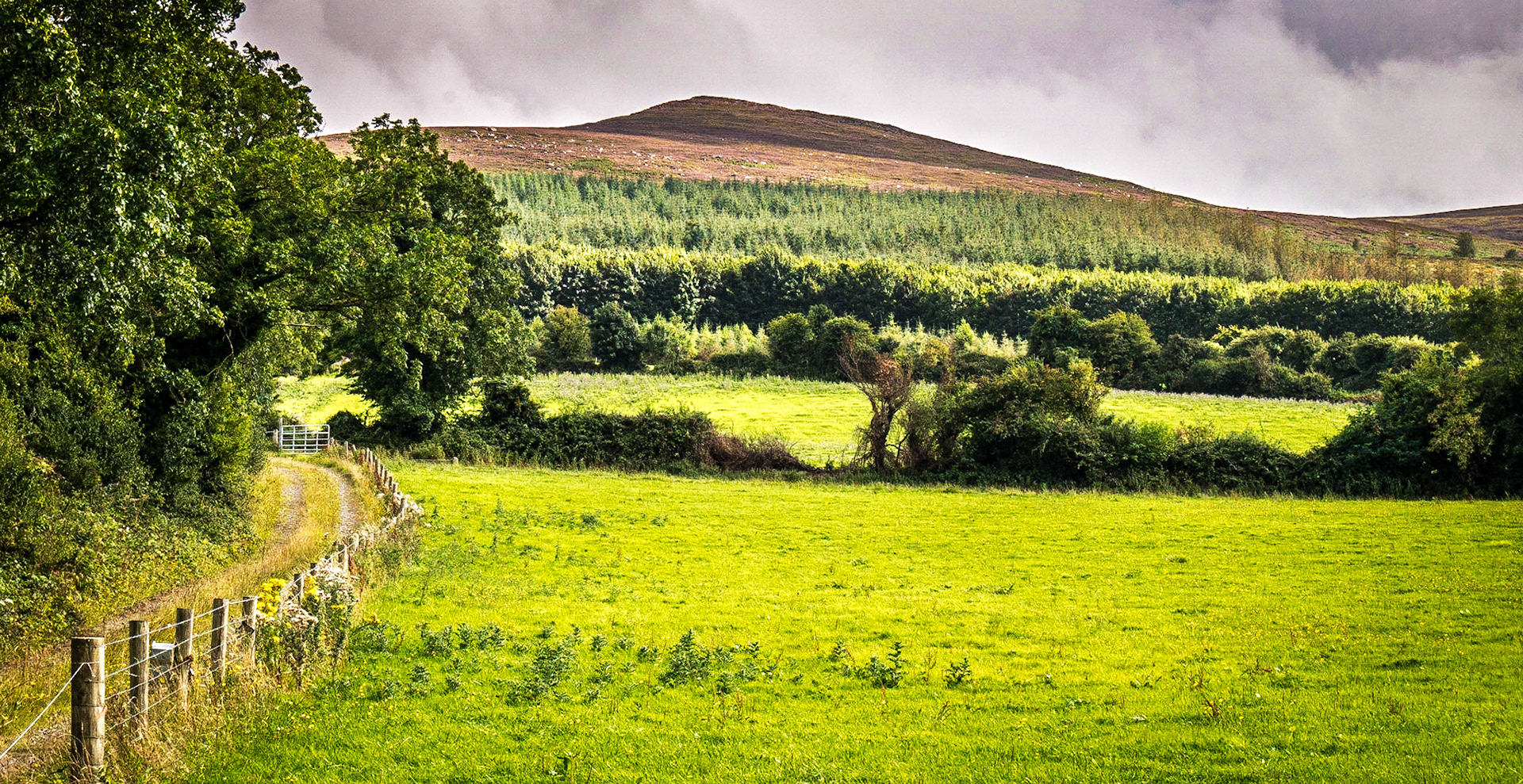 Slievenamon, Co Tipperary, 17 Aug 2017