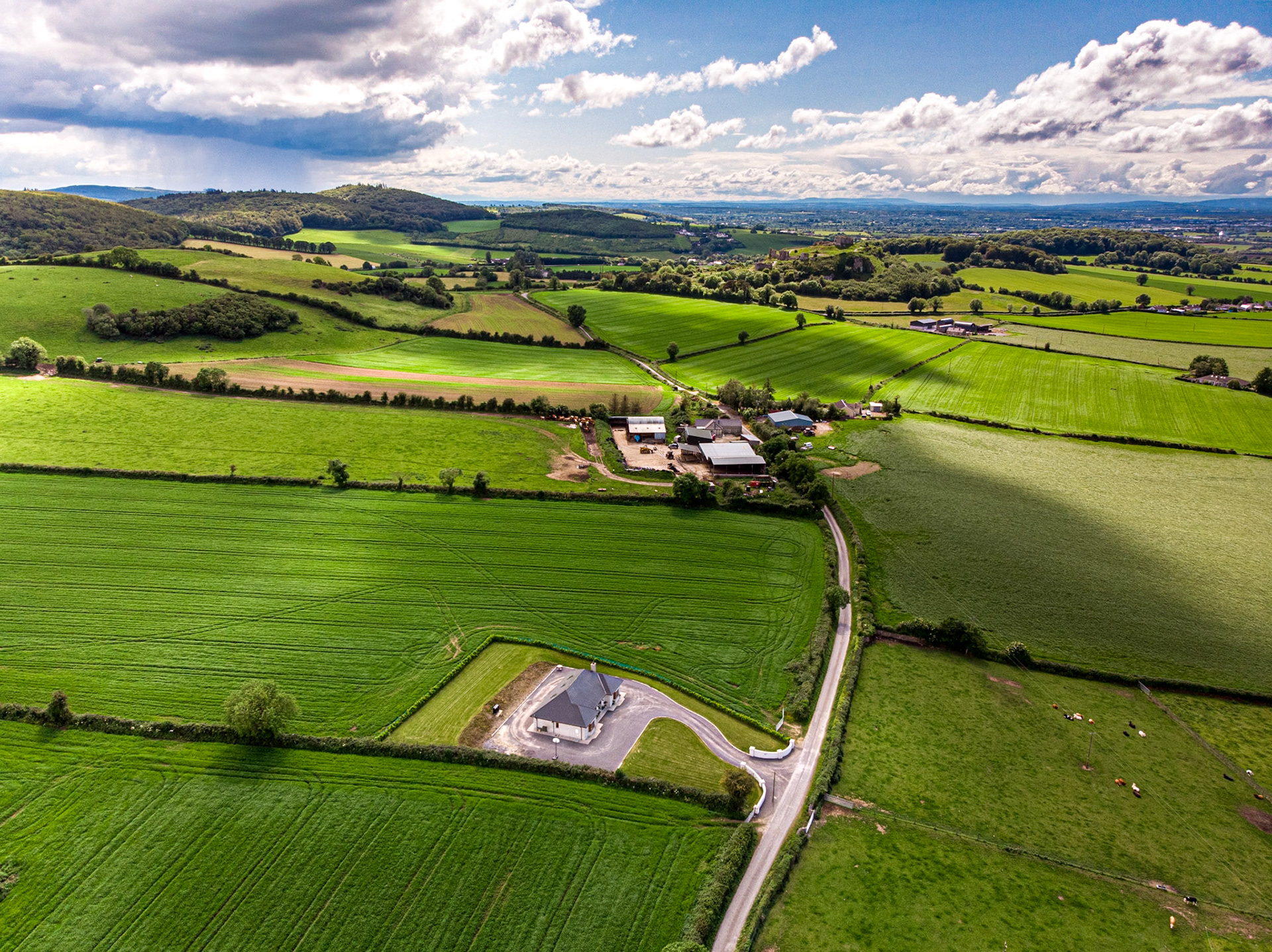 Above Old Kilteale (St Tidel's) Church, Co Laois, 6 Jun 2019