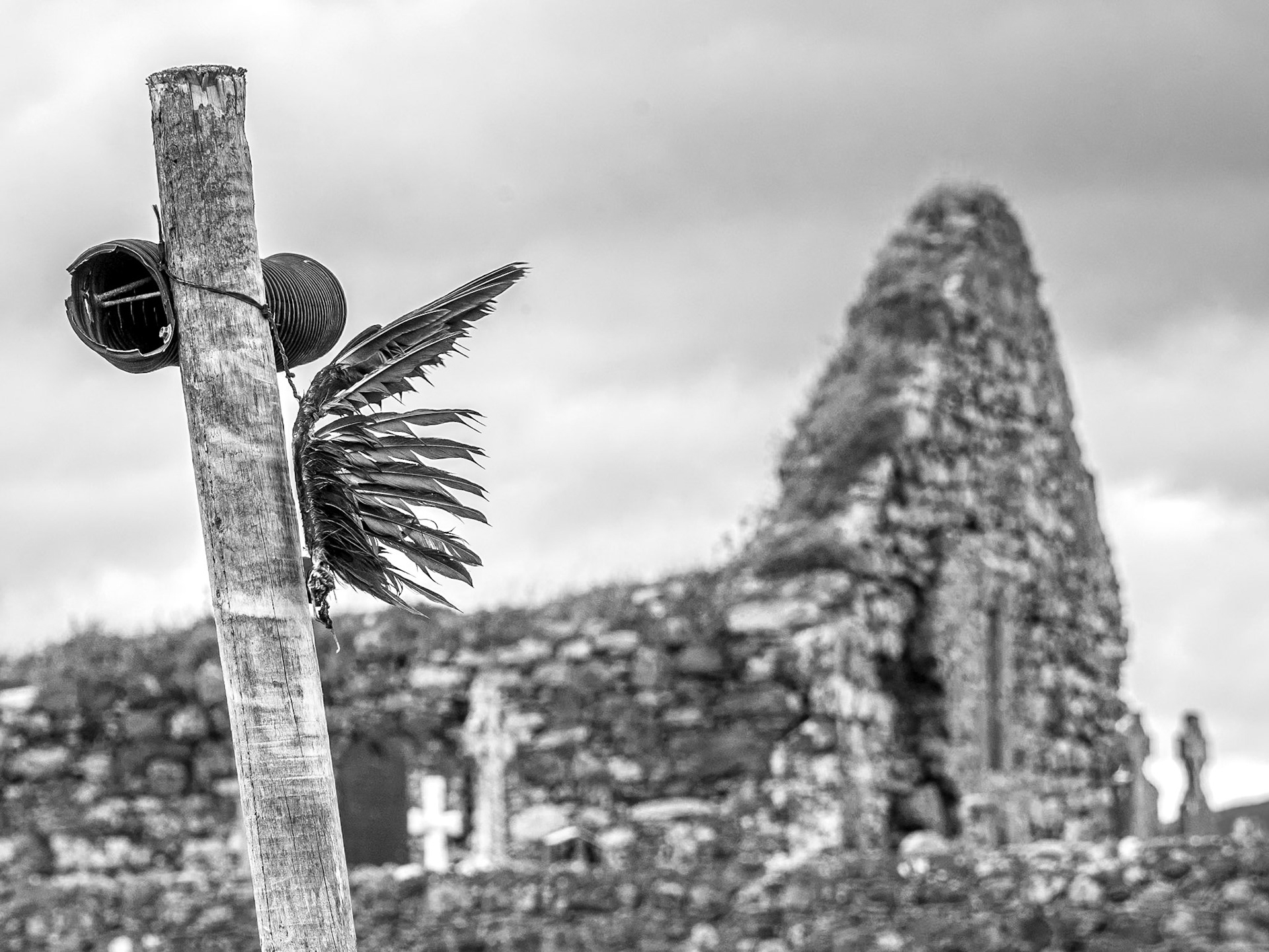 Kilwirra graveyard, Co Louth, 24 Aug 2017