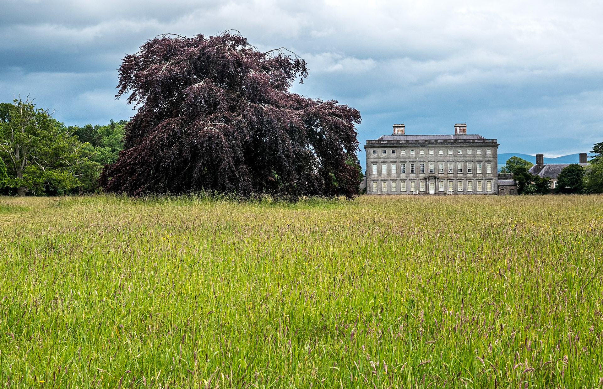 Castletown House, 10 Jun 2020