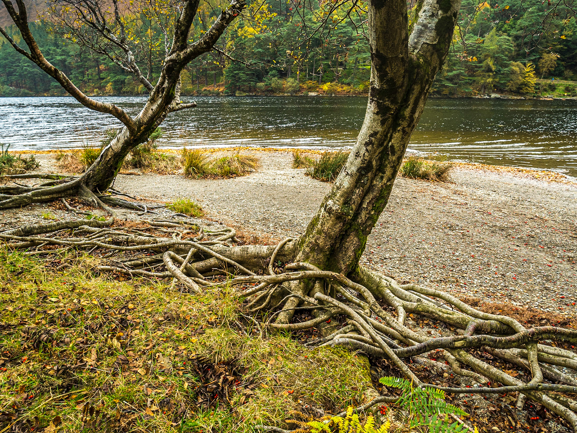 Upper Lake, Glendalough, 28 Oct 2016