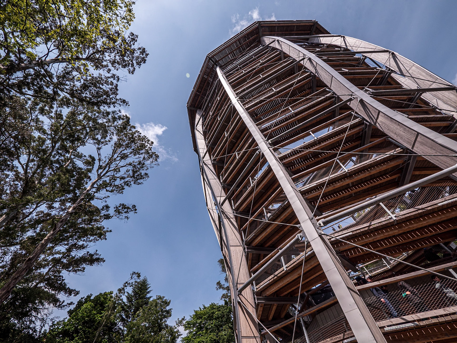 Avondale Forest Park, Co Wicklow, 2 Jun 2025