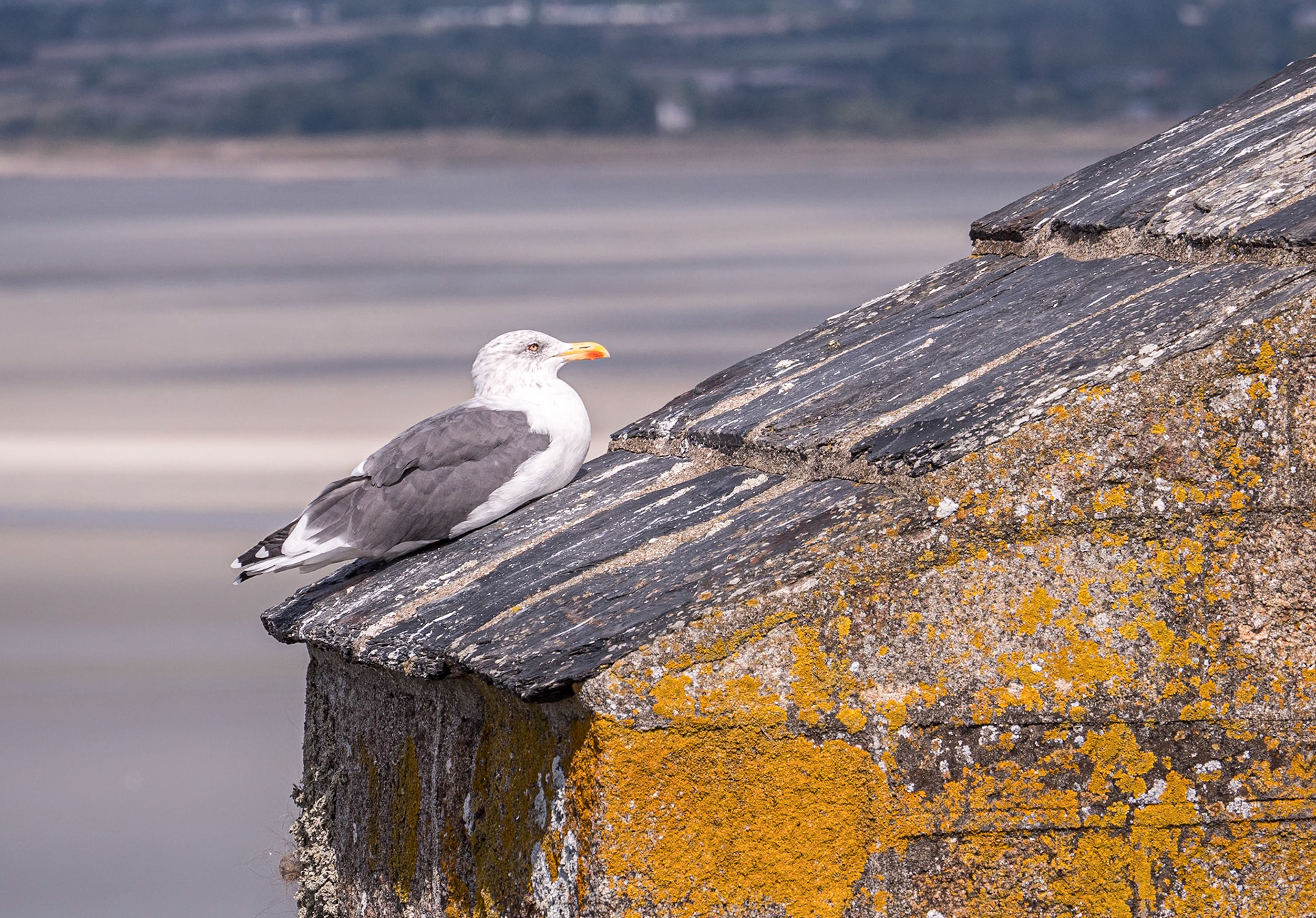 Abbaye du Mont-Saint-Michel, 24 Sep 2022