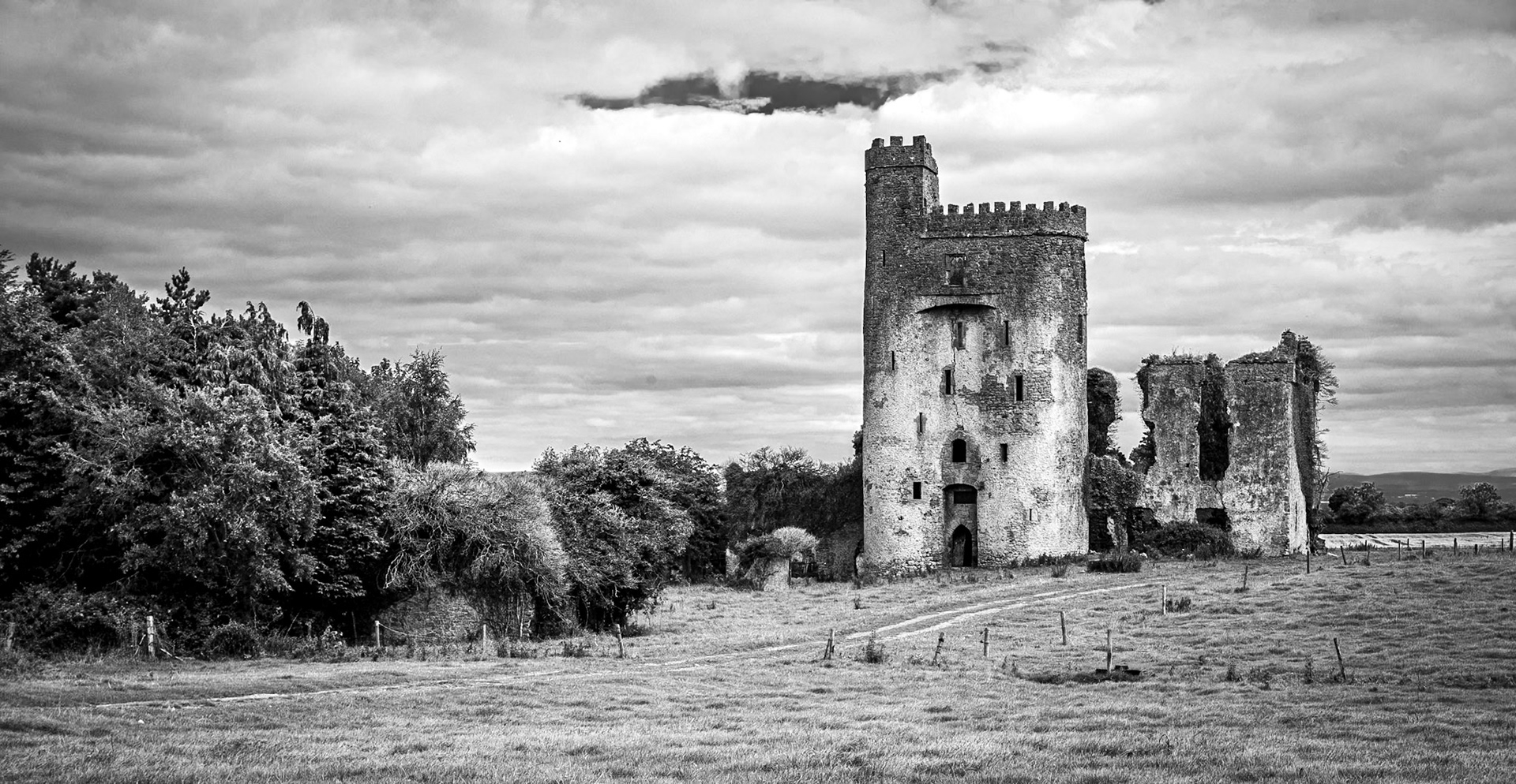 Ballyadams Castle, Co Laois, 10 Aug 2017