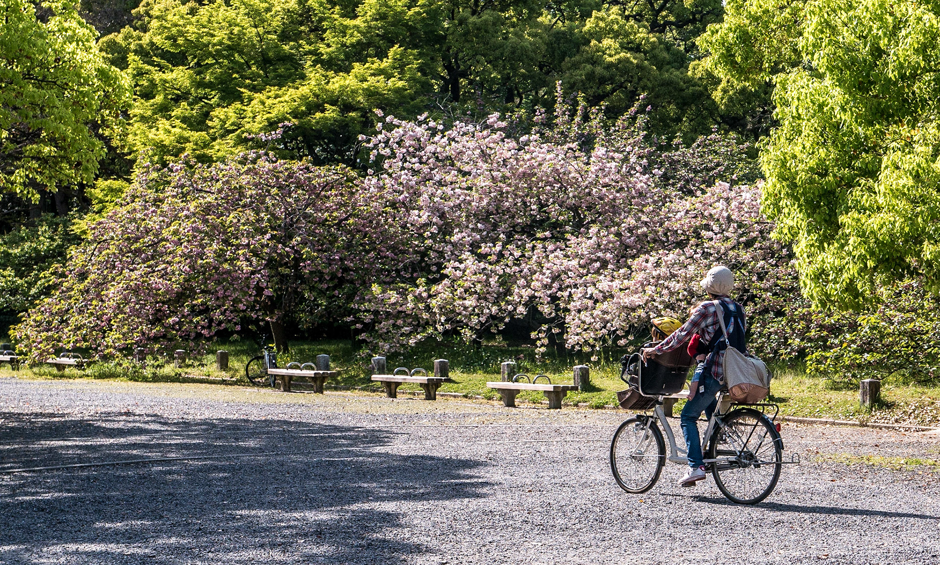 Imperial Palace National Garden, Kyoto, 26 Apr 2016