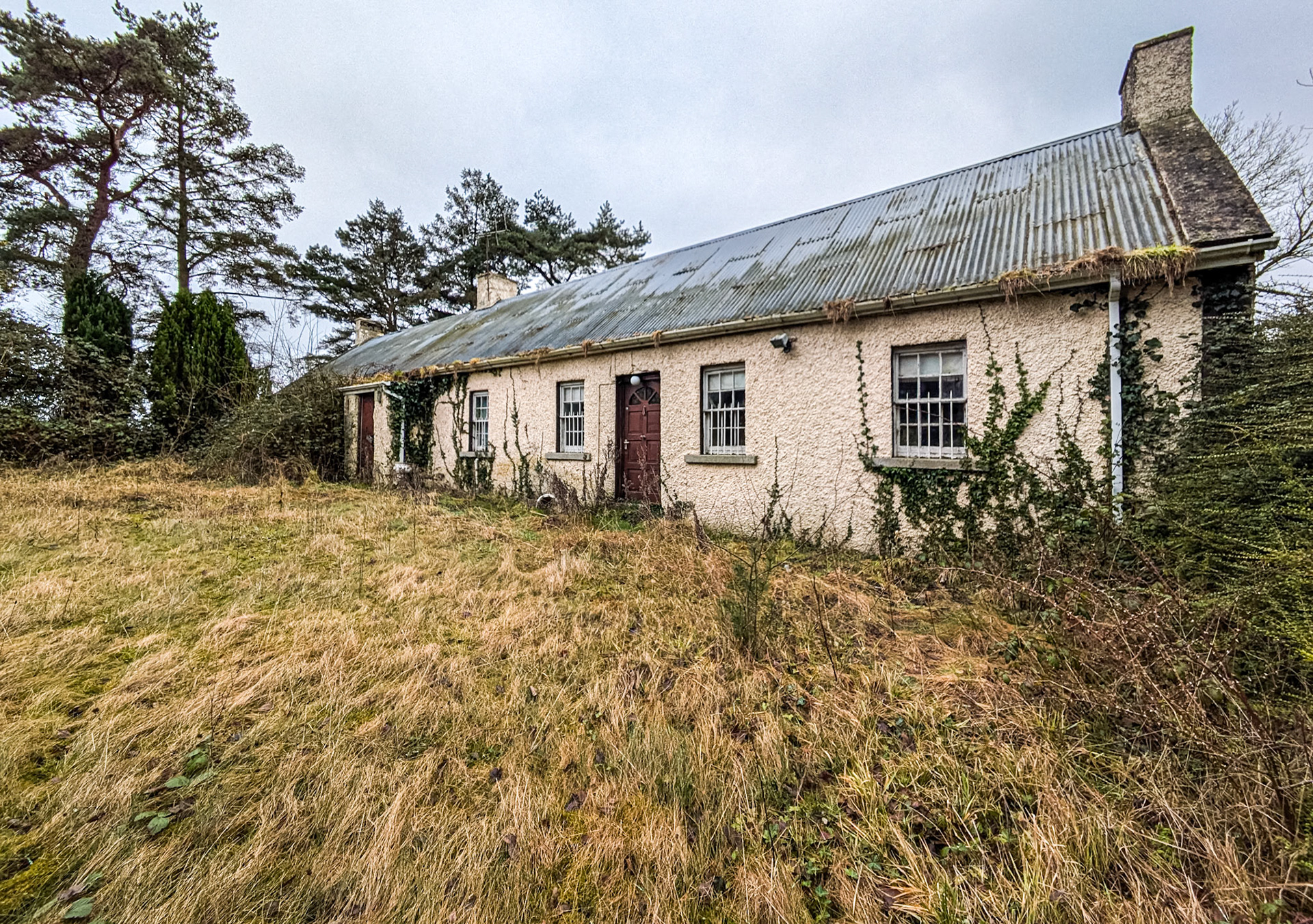 Between Naas and Newbridge, Co Kildare, 22 Jan 2025