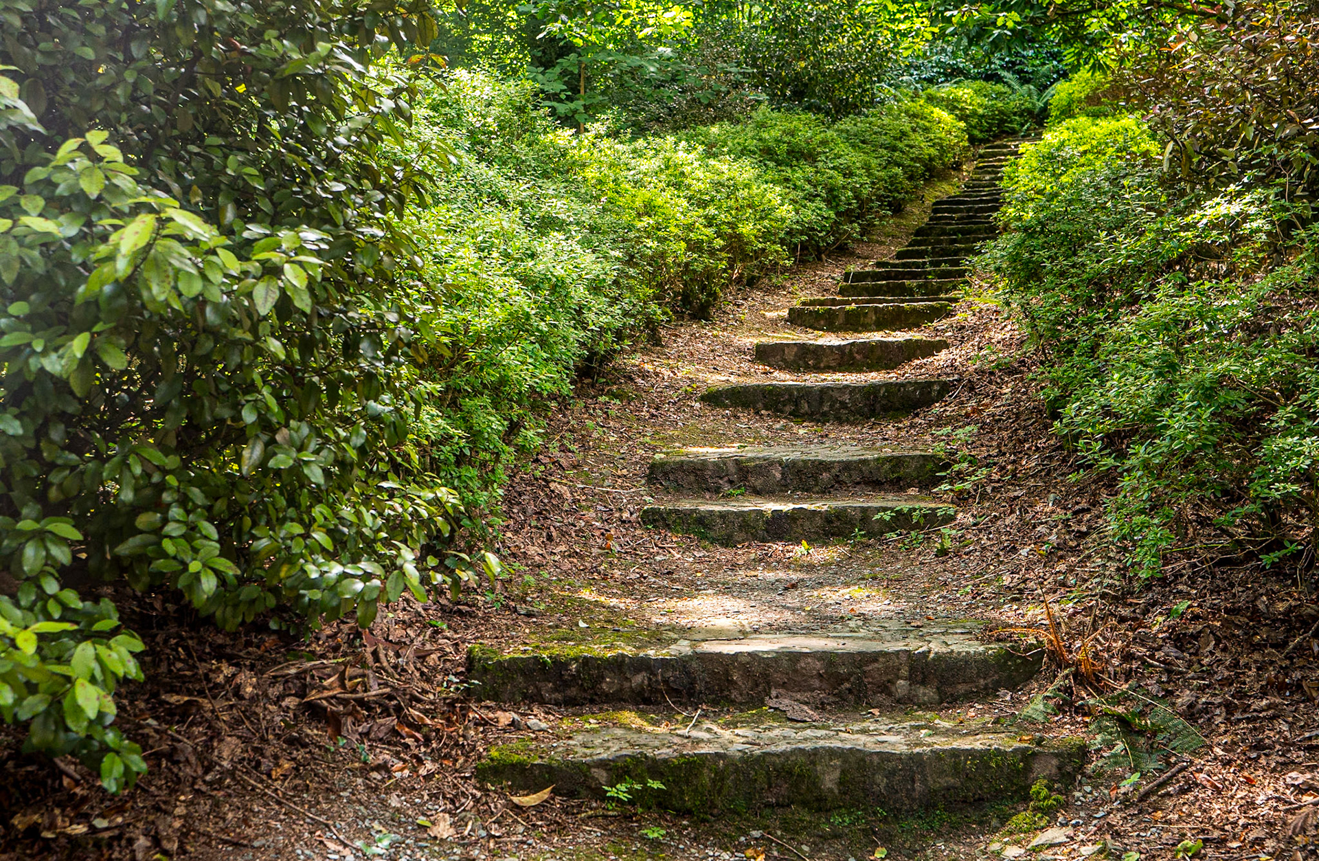 Mount Congreve Gardens, Co Waterford, 5 Jul 2025