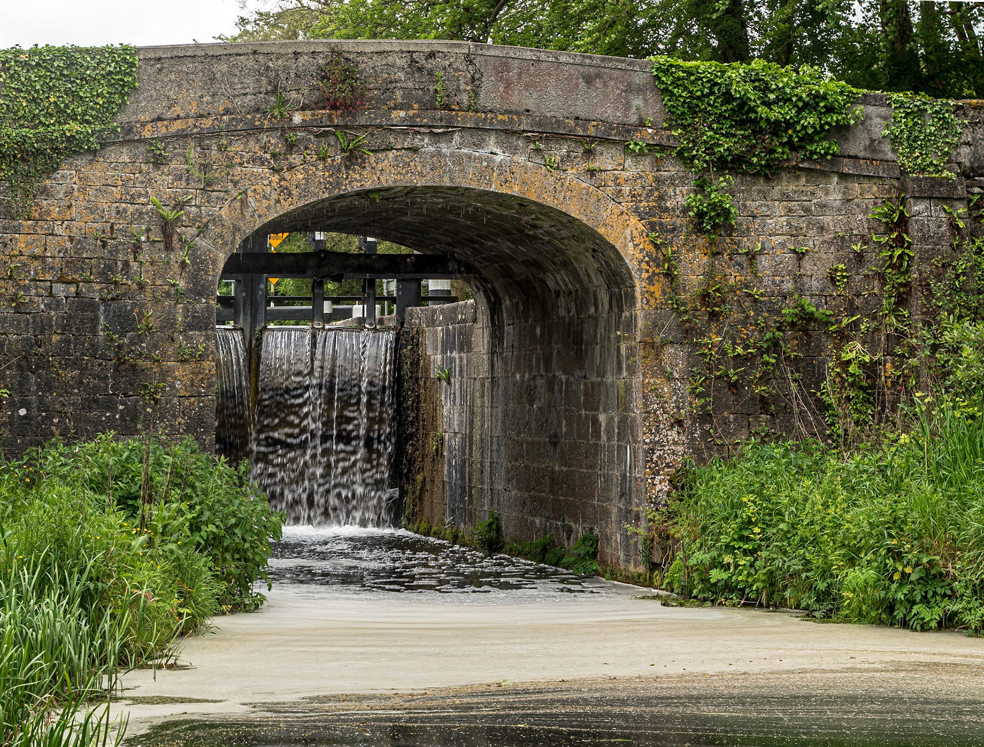 Osberstown Bridge, near Naas, Co Kildare, 22 May 2024