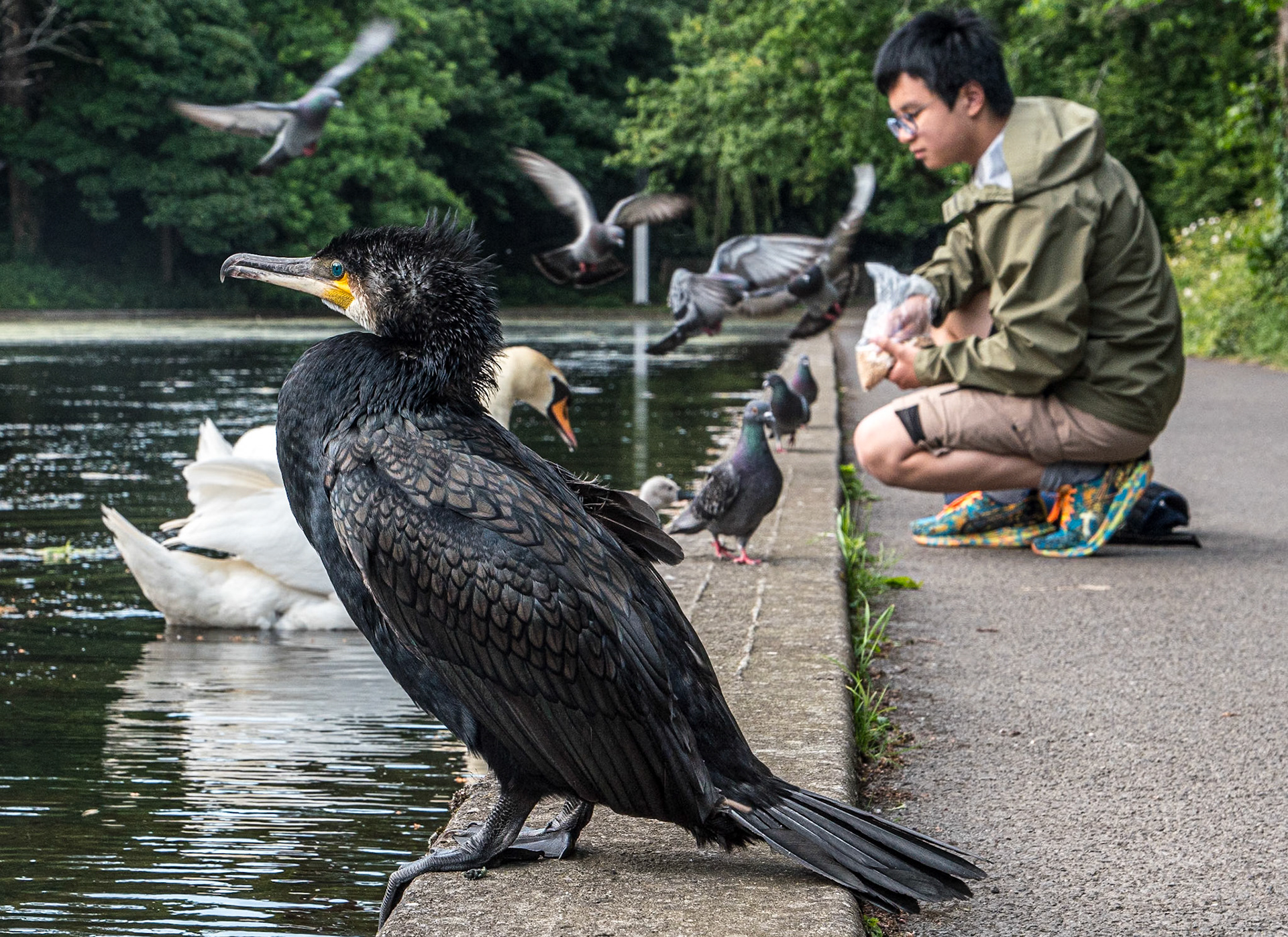 The Dodder River near Rathfarnham, Co Dublin, 4 Jun 2024