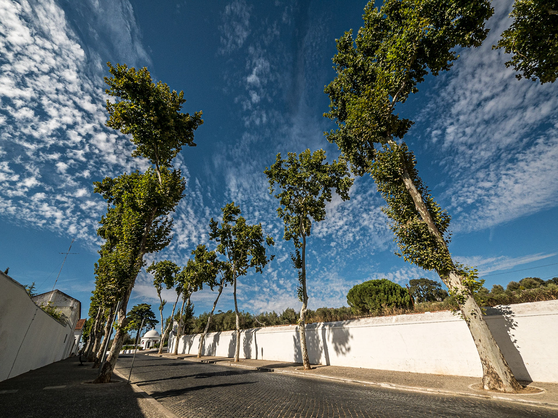 Near Ducal Palace, Vila Viçosa, 11 Sep 2015