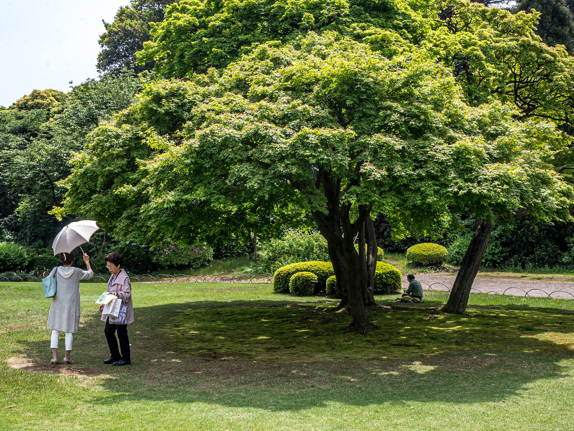Japanese garden, Shinjuku Gyoen National Garden, Tokyo, 3 May 2016