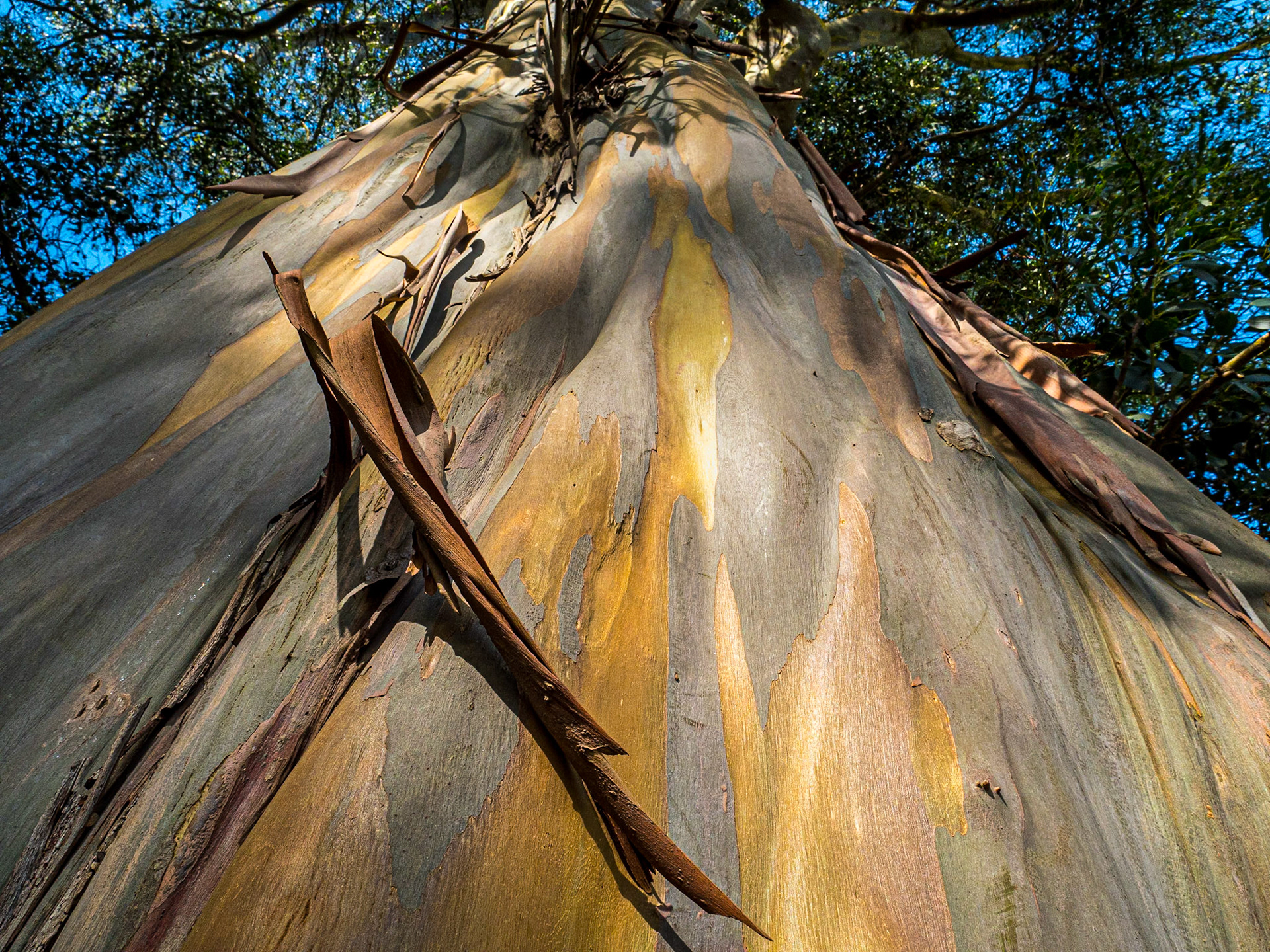 Grounds of SS Mary and Michael Church, Rathdrum, Co Wicklow, 26 Aug 2020