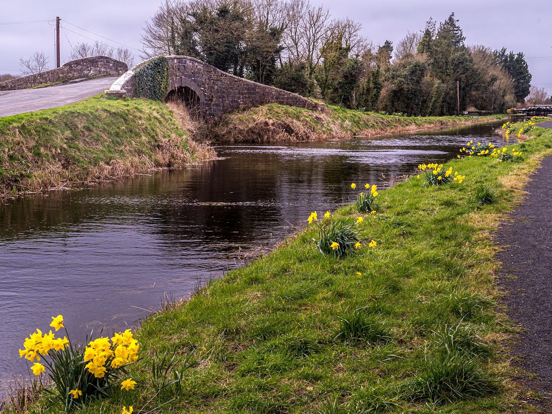 The Barrow Way, Robertstown, Co Kildare, 6 Mar 2024
