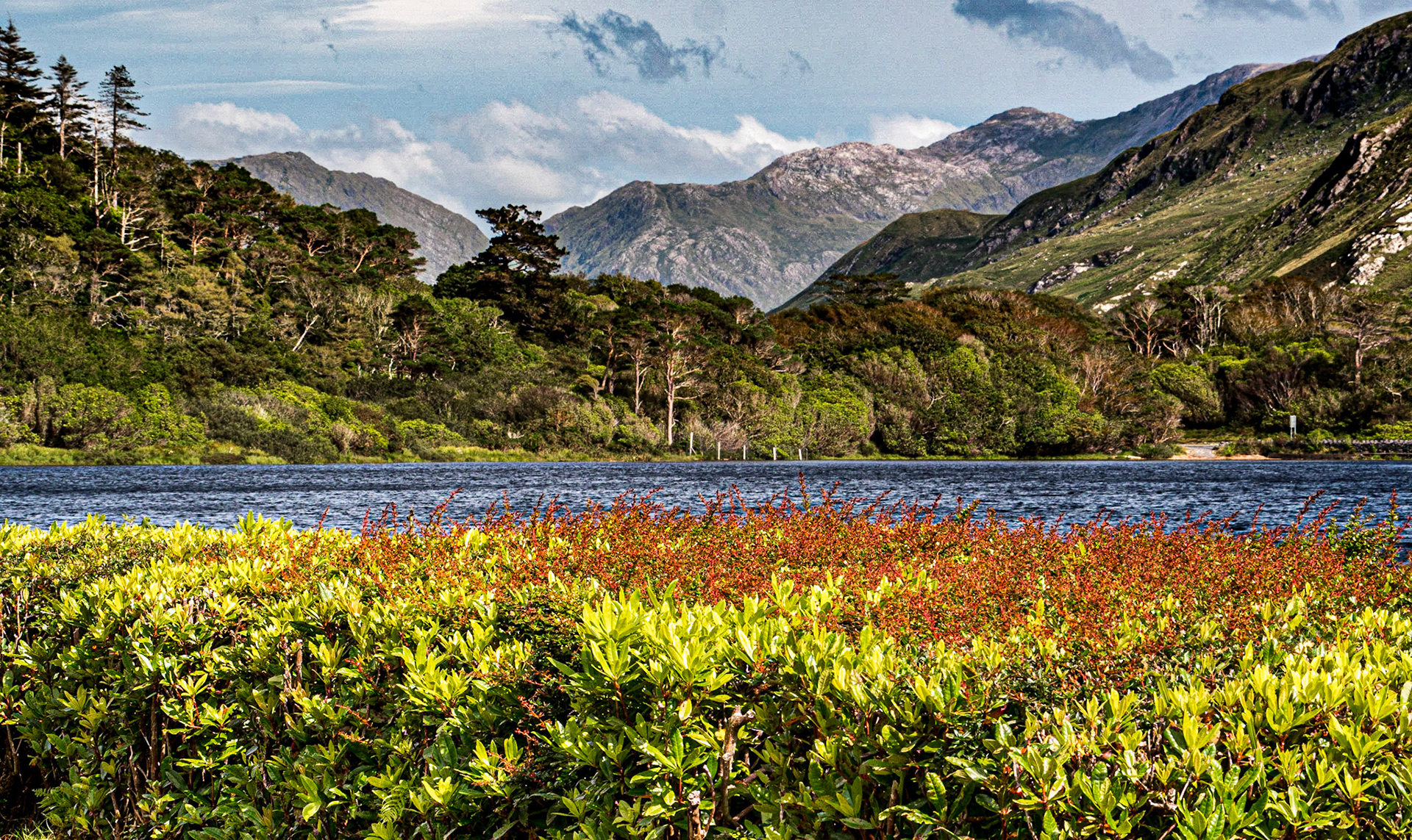 Grounds of Kylemore Abbey, Co Galway, 30 Jul 2020