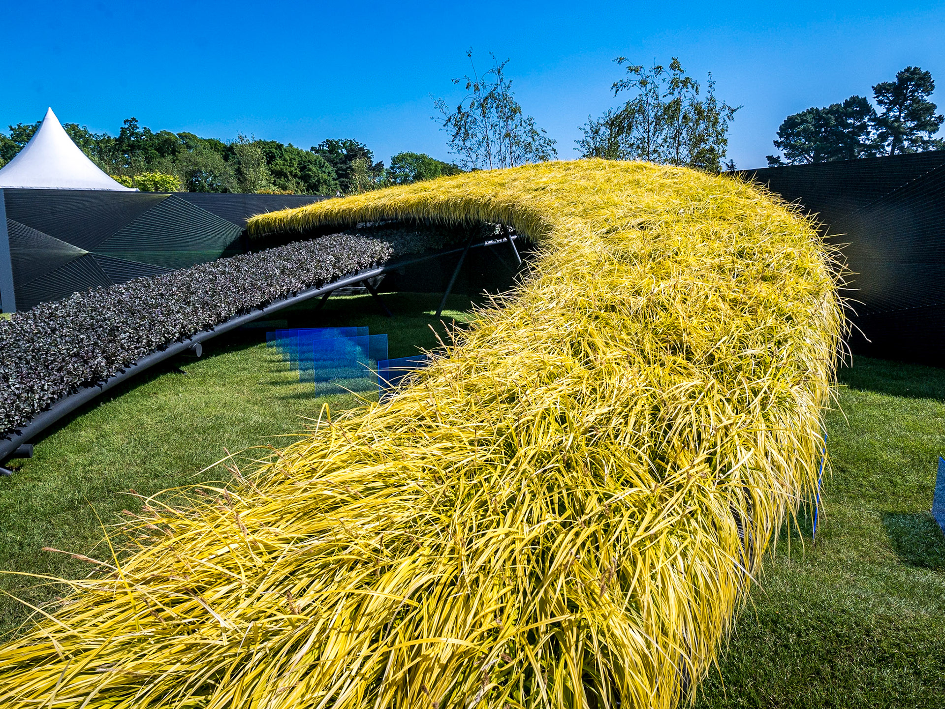 Bloom in the Park garden festival, Dublin, 3 Jun 2016