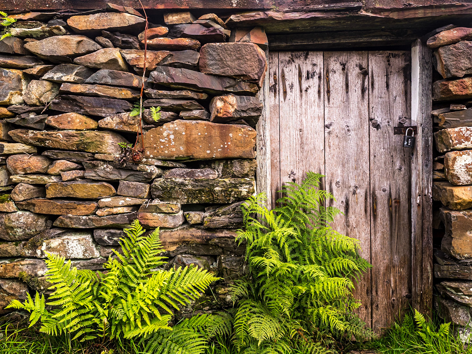 At Elisha &amp; Cuan's rented cottage near Lettergesh, Co Galway, 28 Jul 2020
