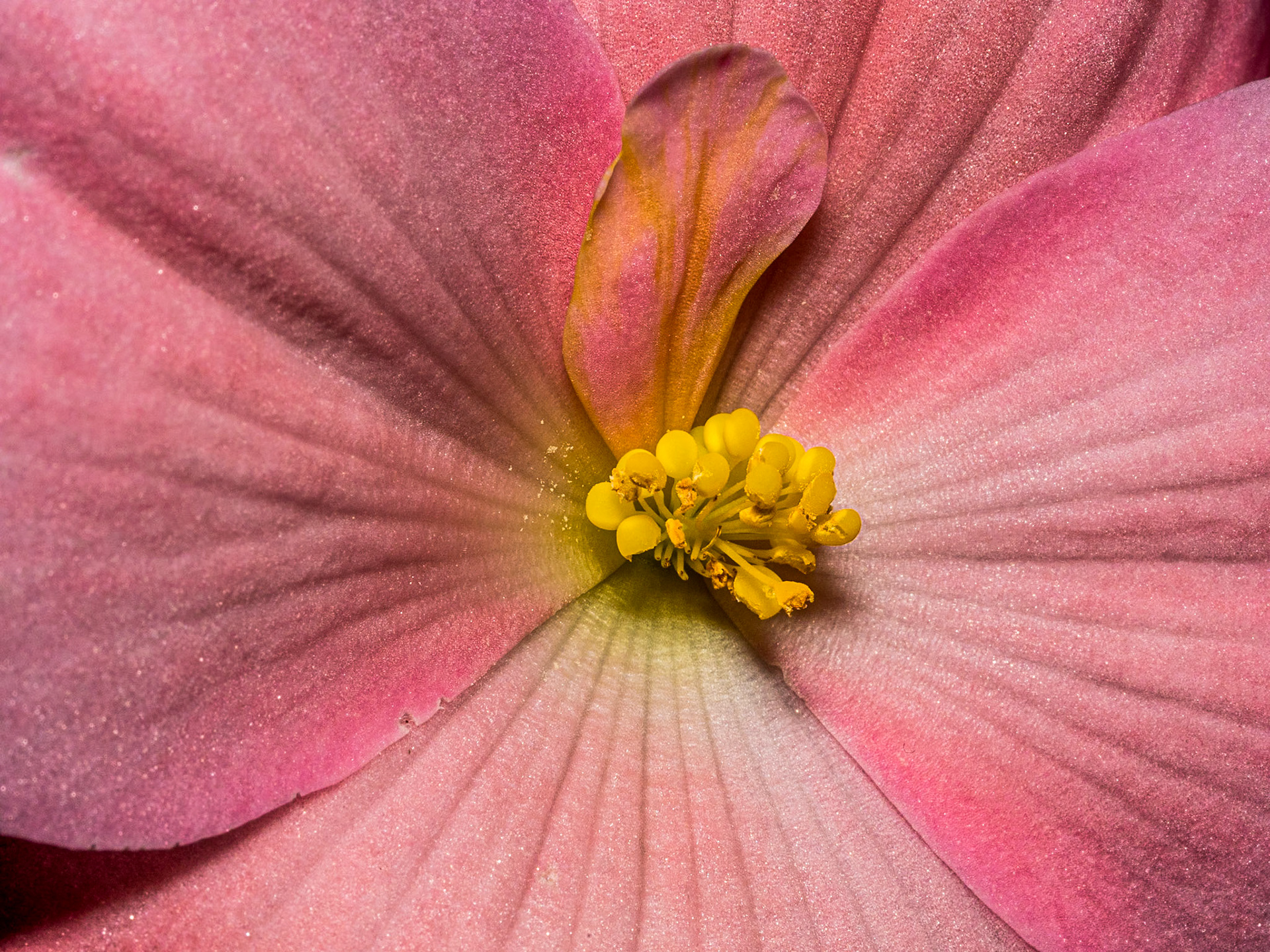Botanic Gardens, Dublin, 3 Nov 2019