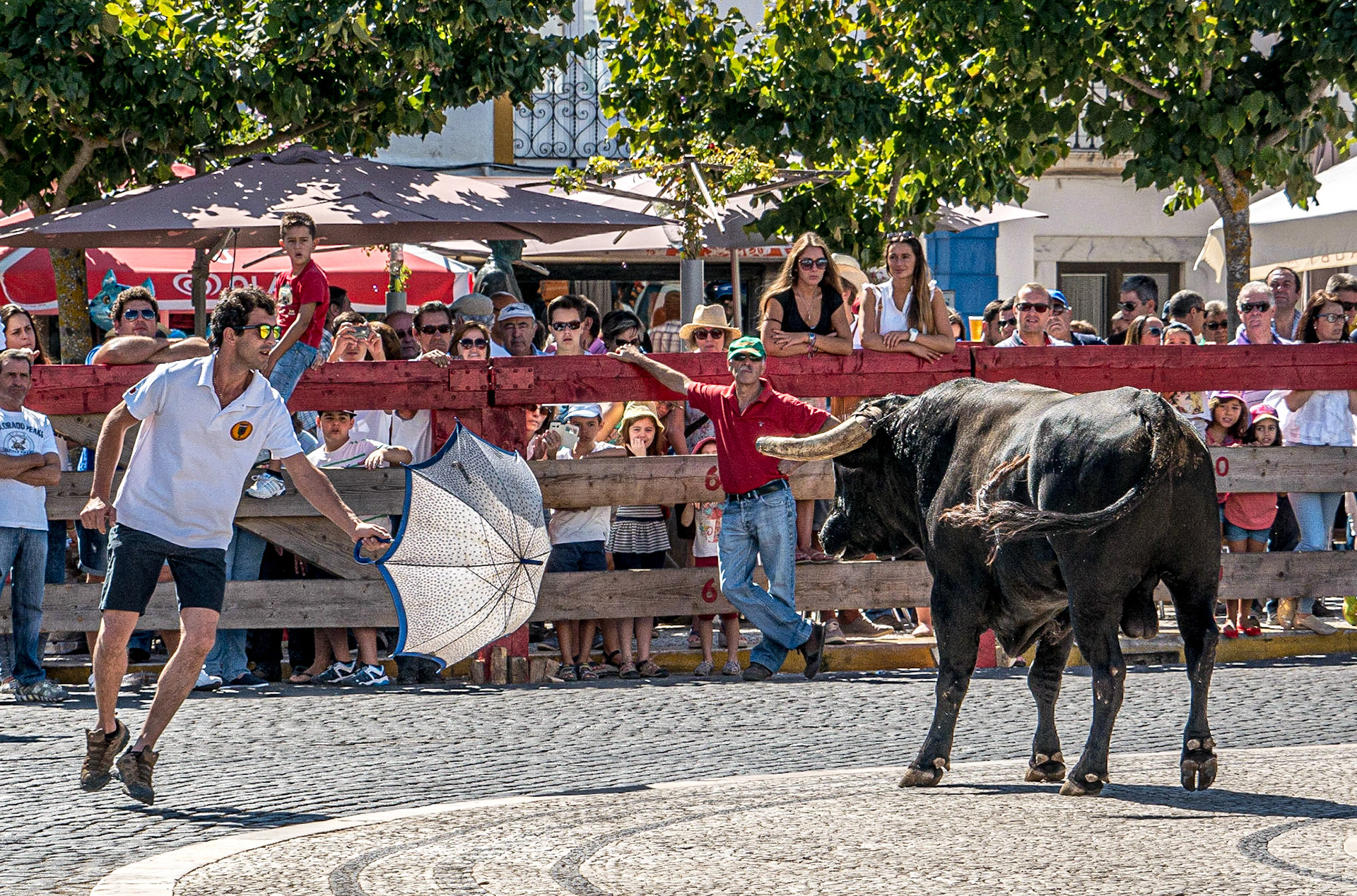Bull festival, Vila Viçosa, 12 Sep 2015