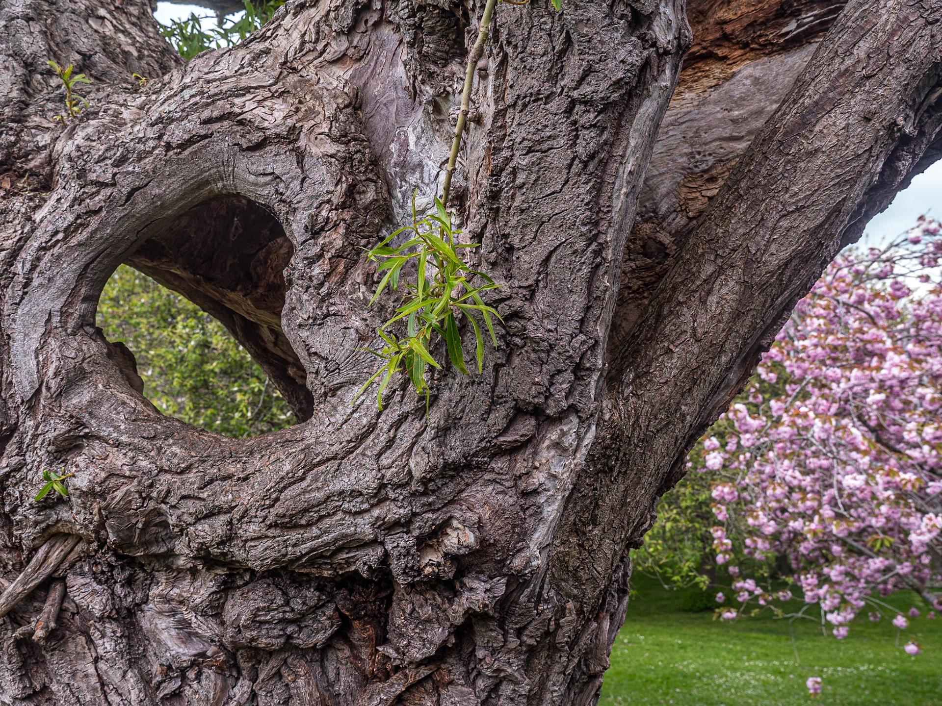 War Memorial Gardens, Dublin, 27 Apr 2022