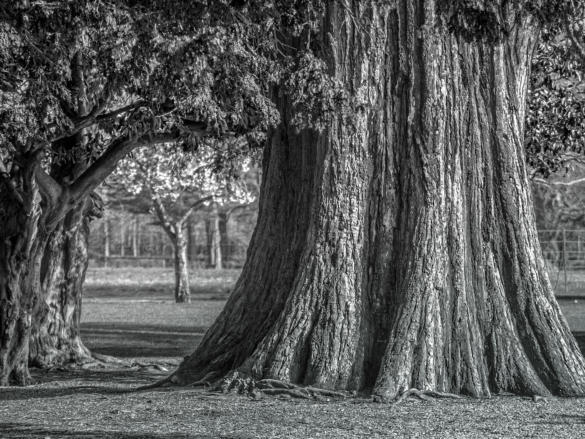 Farmleigh, Dublin, 12 Apr 2015