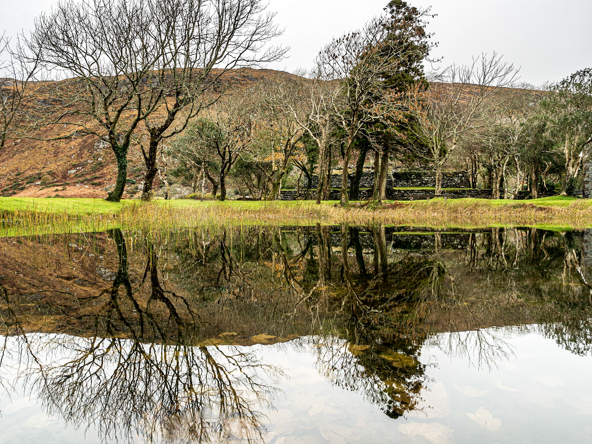 Gougane Barra Forest Park, Co Cork, 19 Nov 2016