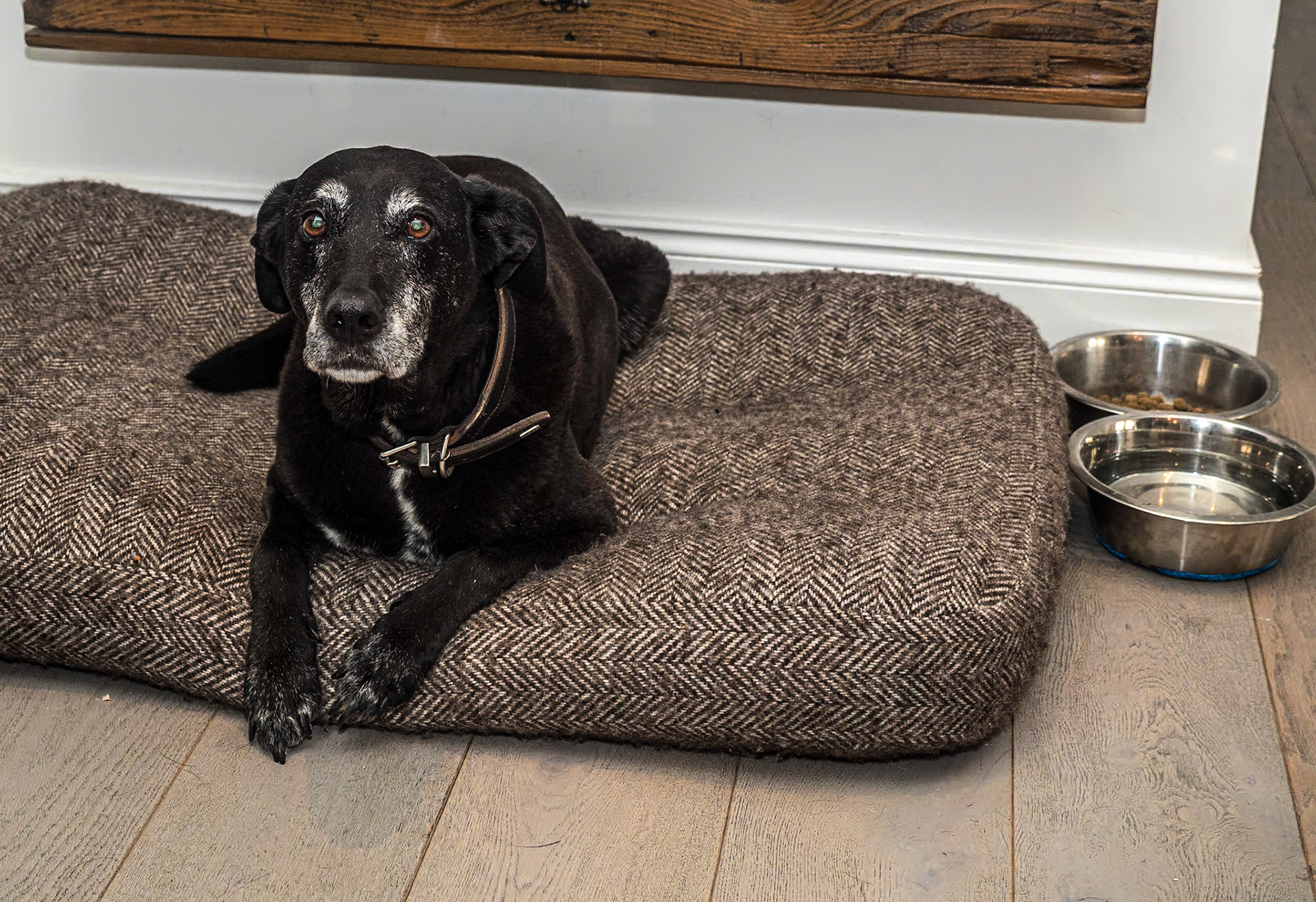 Smokey, Airbnb house, near Carraroe, Co Galway, 14 Jun 2022