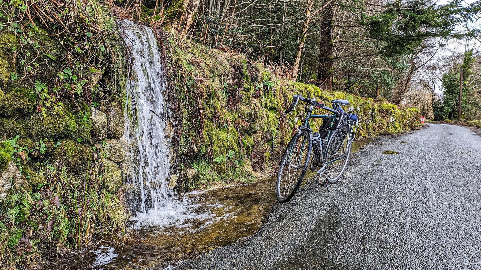 Near Glencree, Co Wicklow, 10 Feb 2024